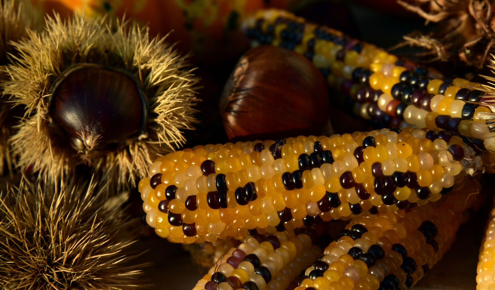 Nikon D750 sample photo. Autumn, autumn fruits, decoration photography
