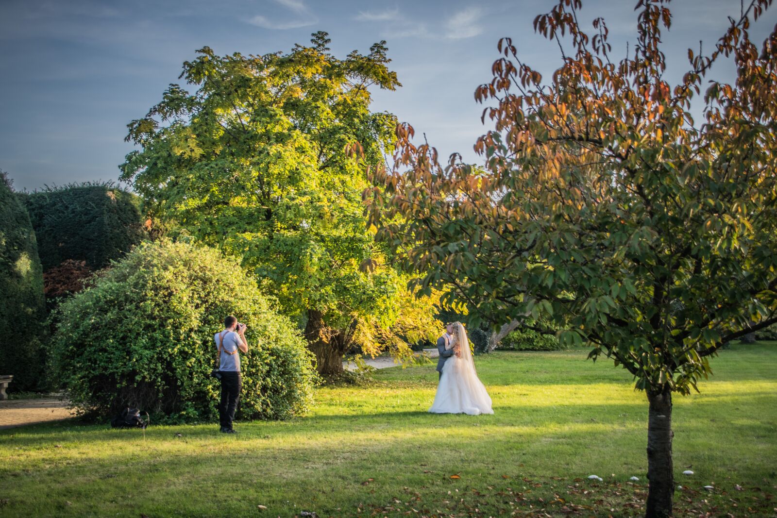 Nikon D5300 sample photo. Park, trees, landscape photography