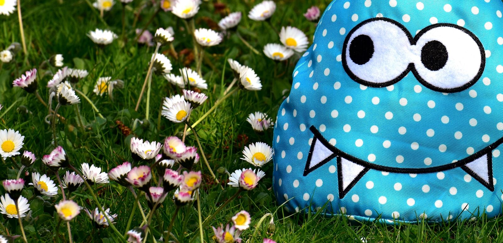 Nikon D7200 sample photo. Monster, fabric, meadow photography