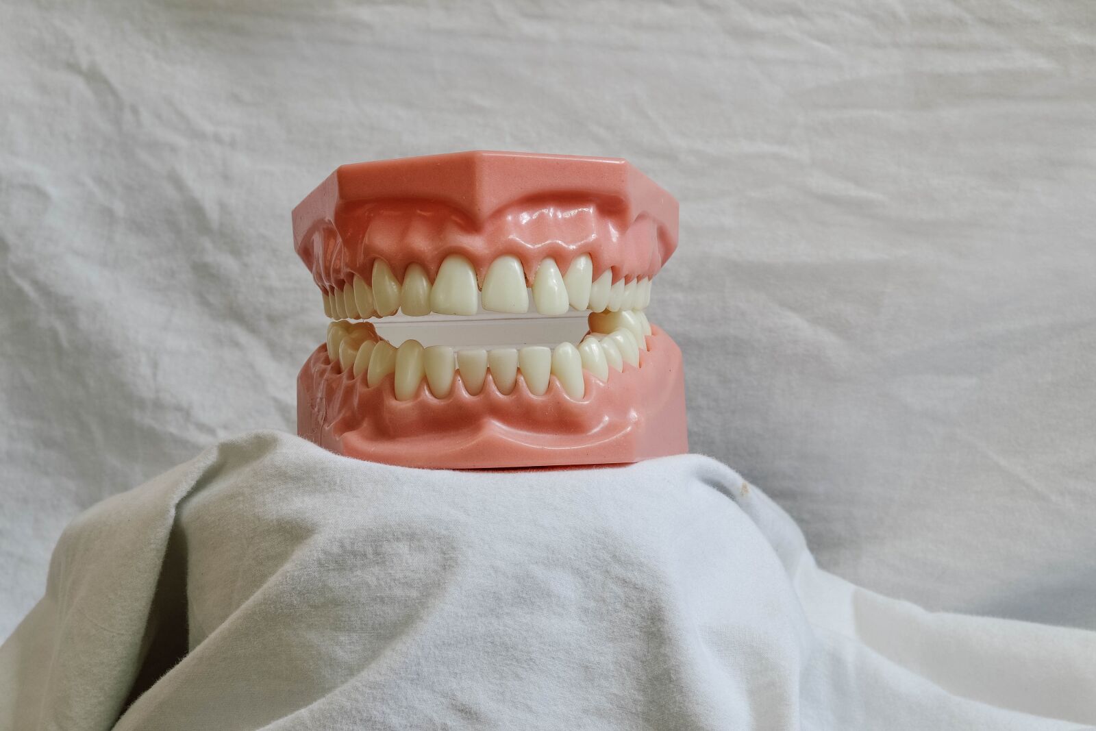 Nikon D3100 sample photo. Teeth, dental, dental model photography