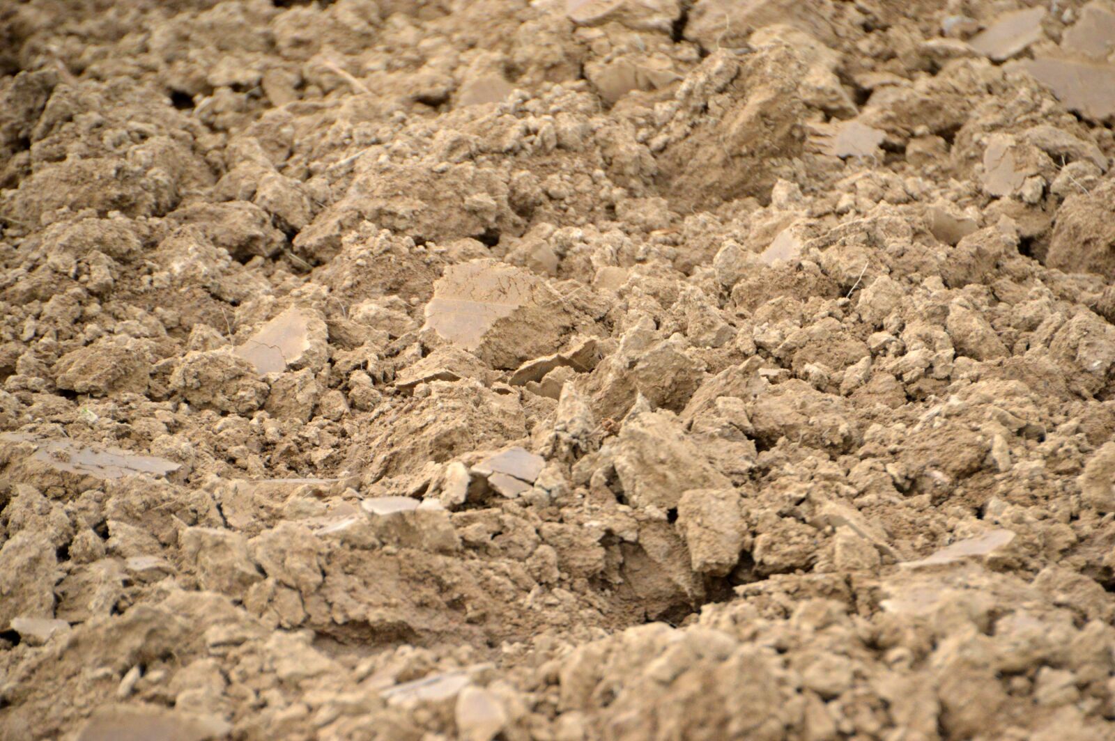 Nikon D3200 sample photo. Field, nature, agriculture photography