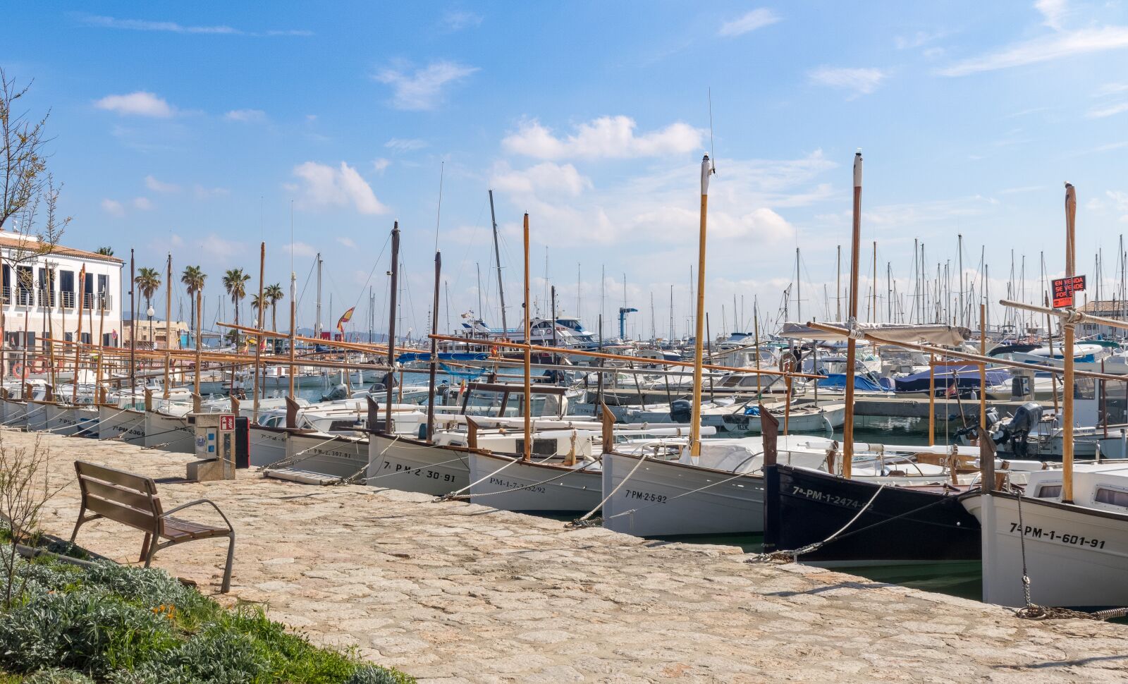 Canon EOS 750D (EOS Rebel T6i / EOS Kiss X8i) sample photo. Mallorca, port de pollen photography