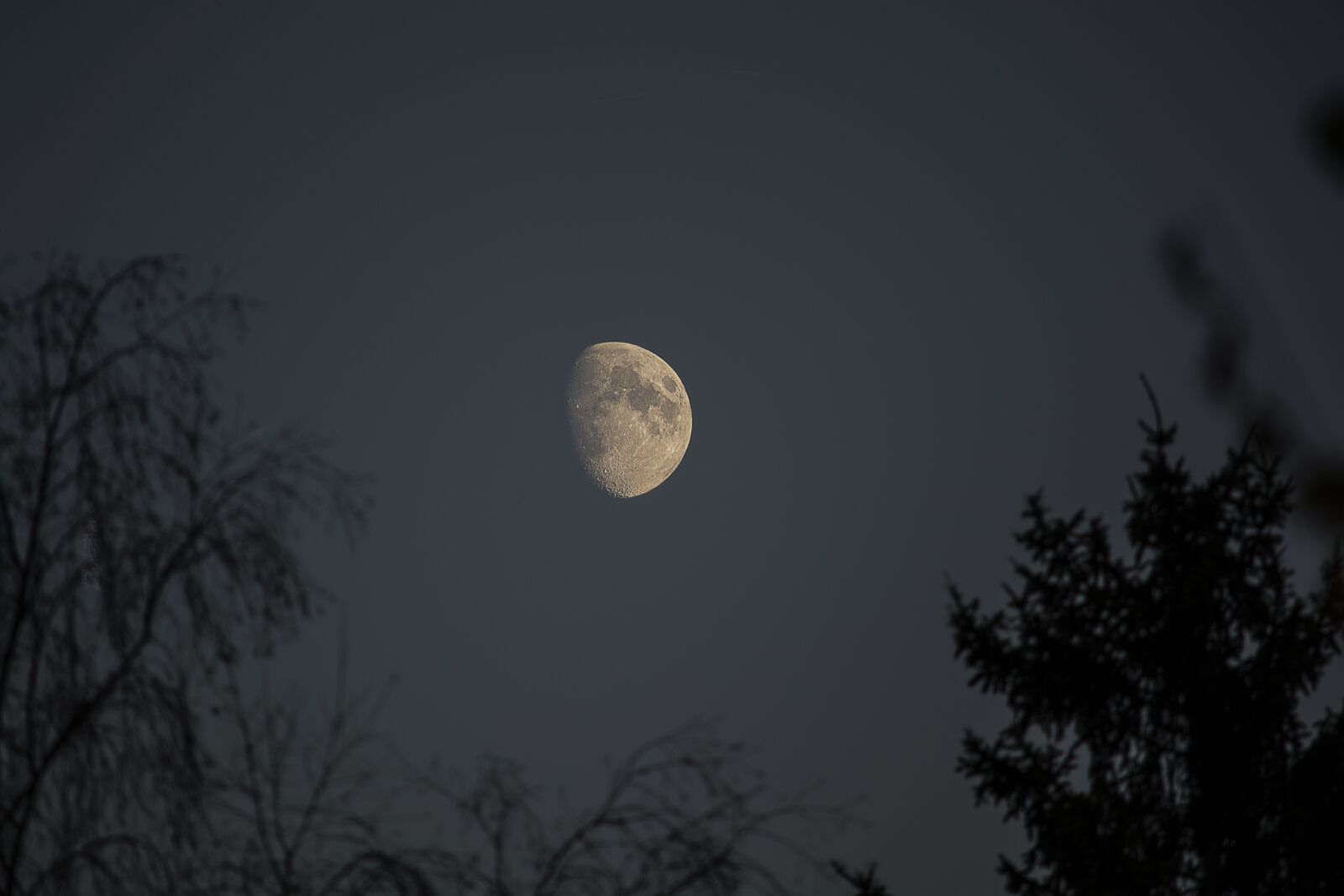 Nikon D5200 sample photo. Moon, night, nikon photography
