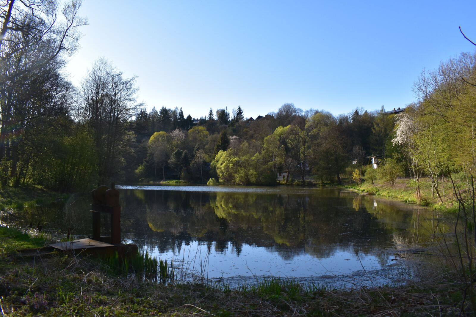 Nikon D5600 sample photo. Lake, forest, tree photography