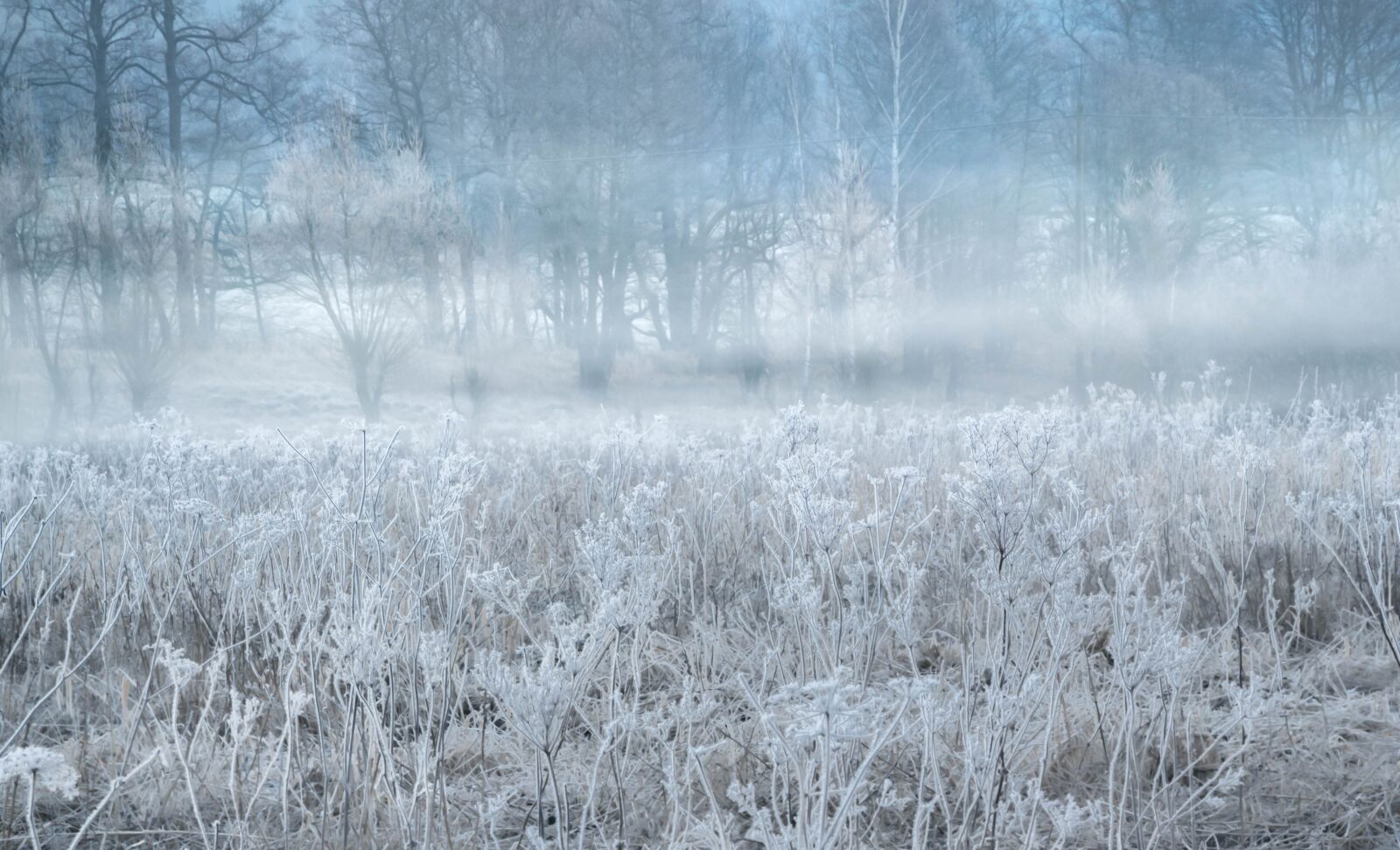 Canon EOS 77D (EOS 9000D / EOS 770D) sample photo. Abstraction, background, cold morning photography