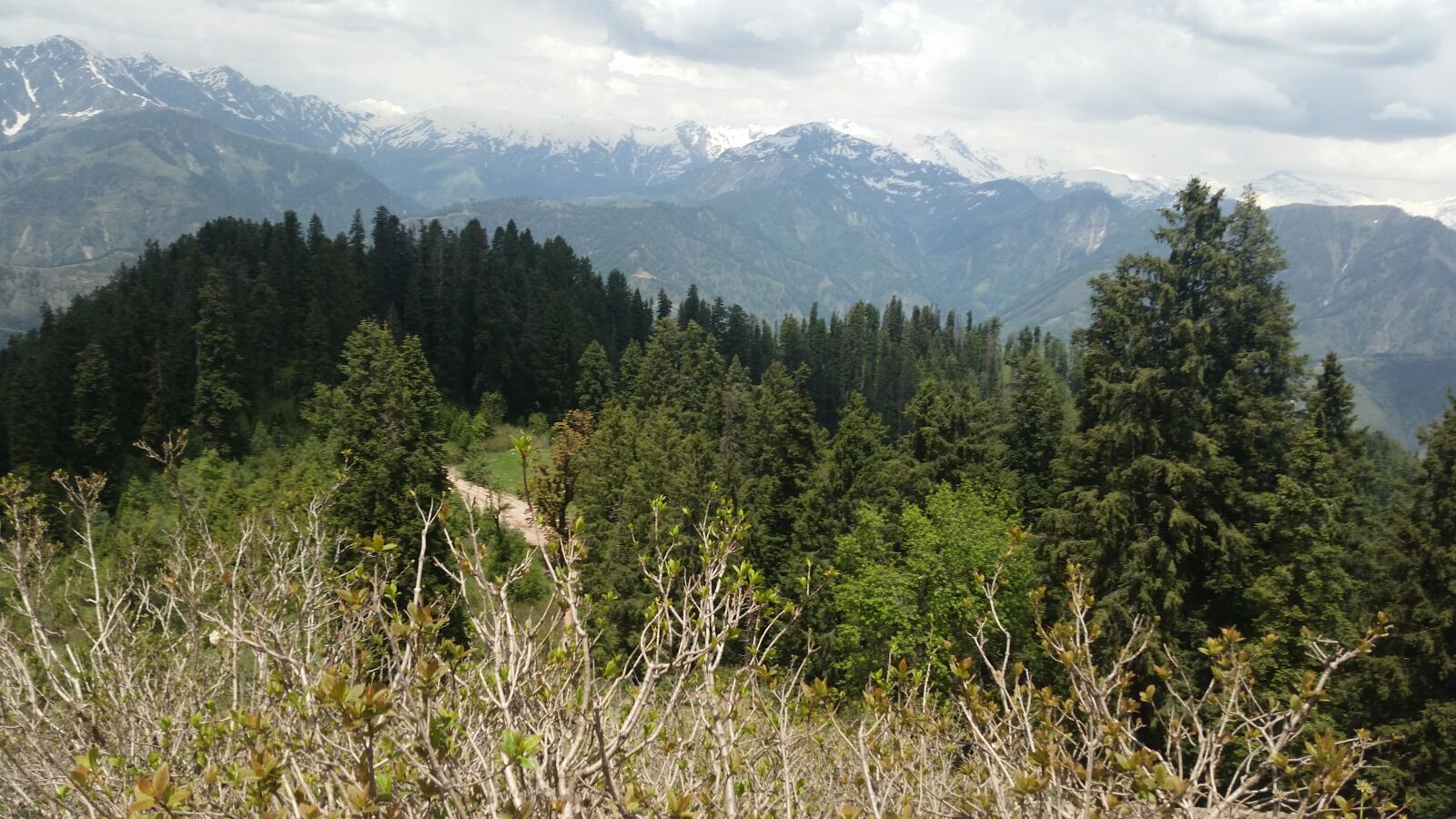 Samsung Galaxy S5 sample photo