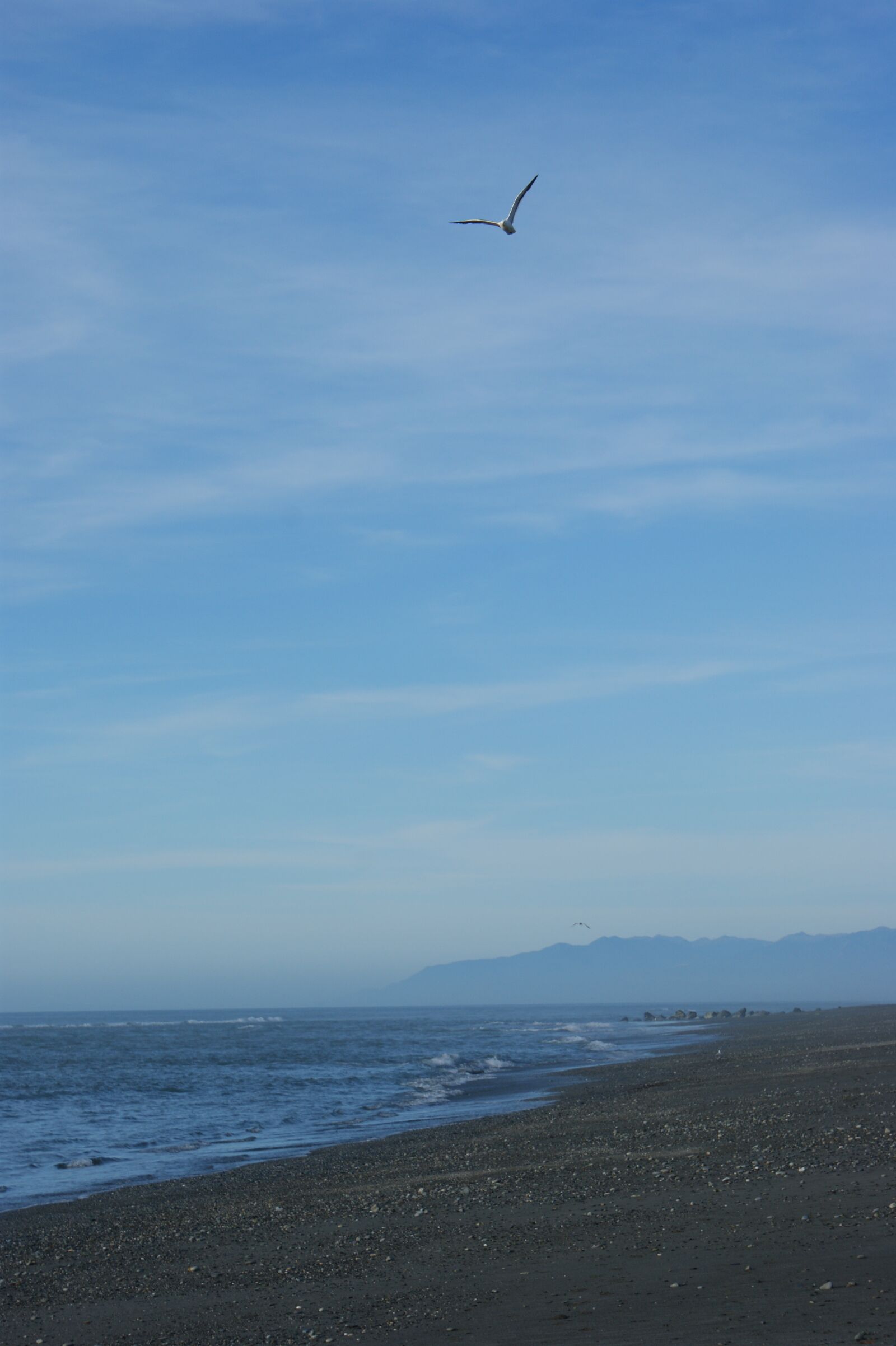 Sony Alpha DSLR-A350 sample photo. Beach, seagull, sky photography
