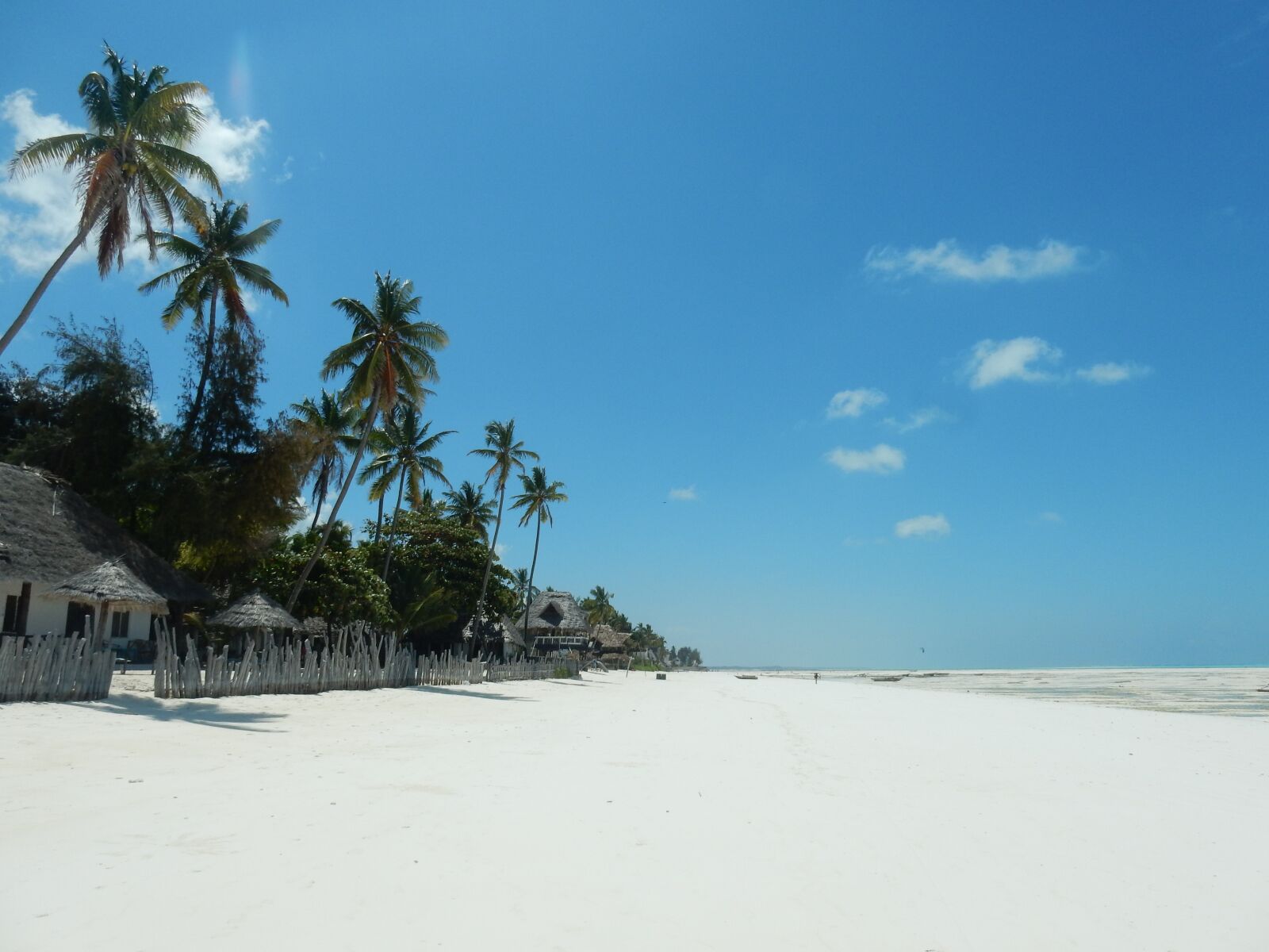 Nikon Coolpix S9700 sample photo. Beach, palm trees, sea photography