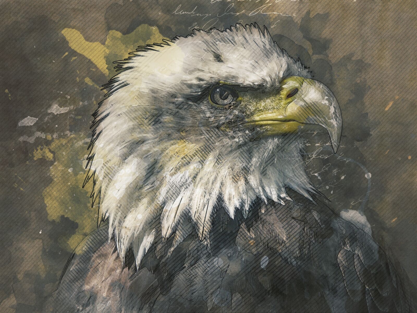 KONICA MINOLTA DiMAGE 7Hi sample photo. Bald eagle, eagle, raptor photography