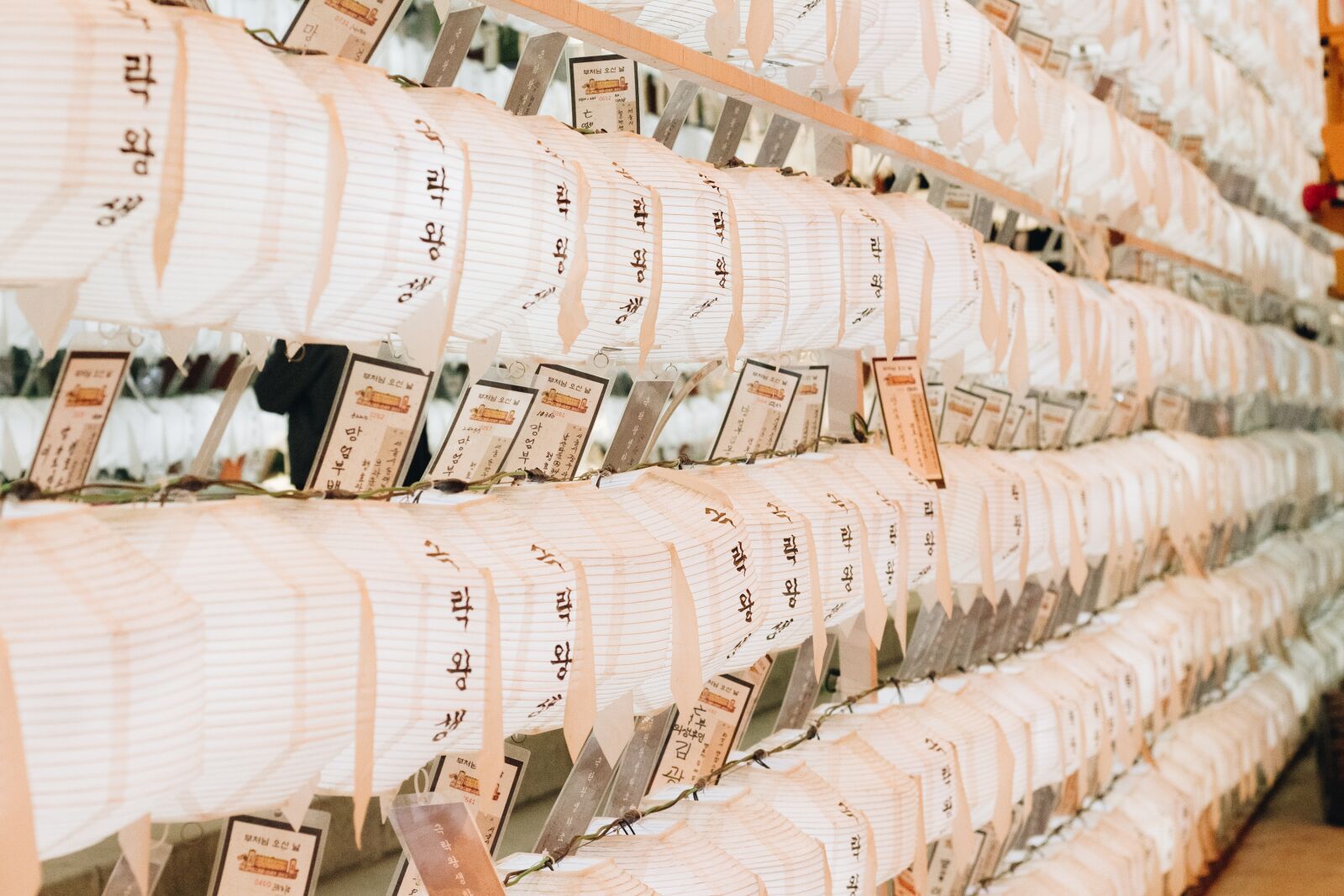 Canon EOS 700D (EOS Rebel T5i / EOS Kiss X7i) + Canon EF 50mm F1.8 II sample photo. Lantern, light, temple photography