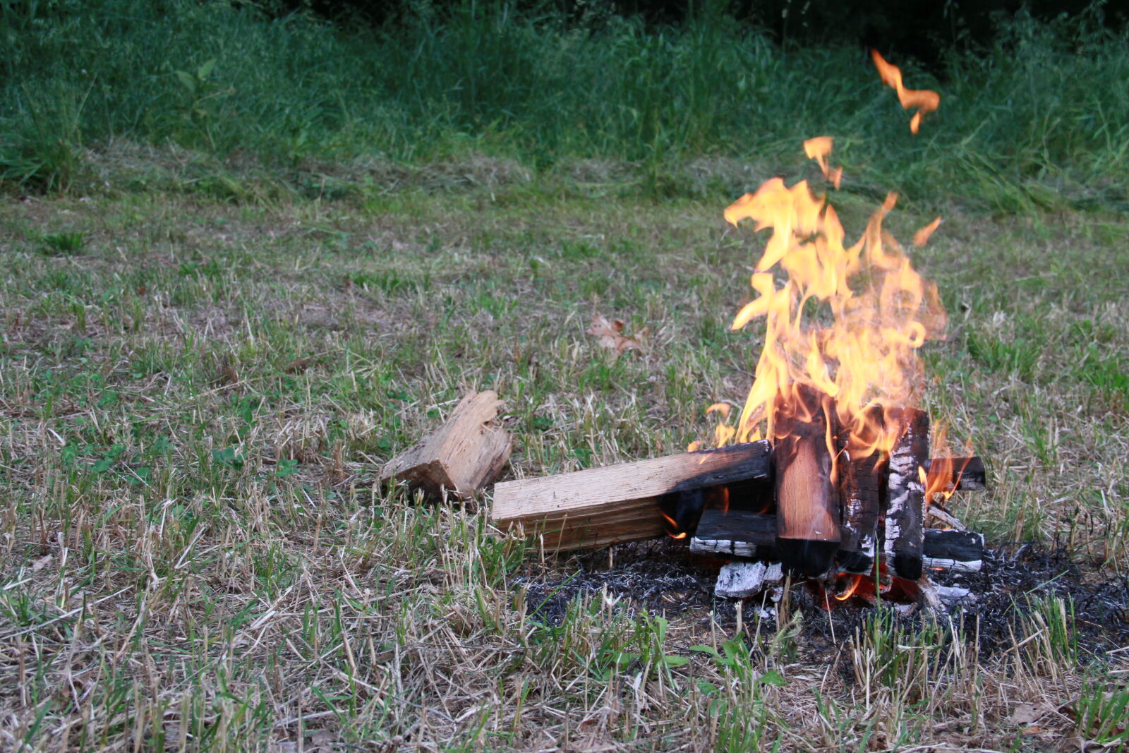 Canon EOS 7D sample photo. Campfire, cook, fire, fire photography