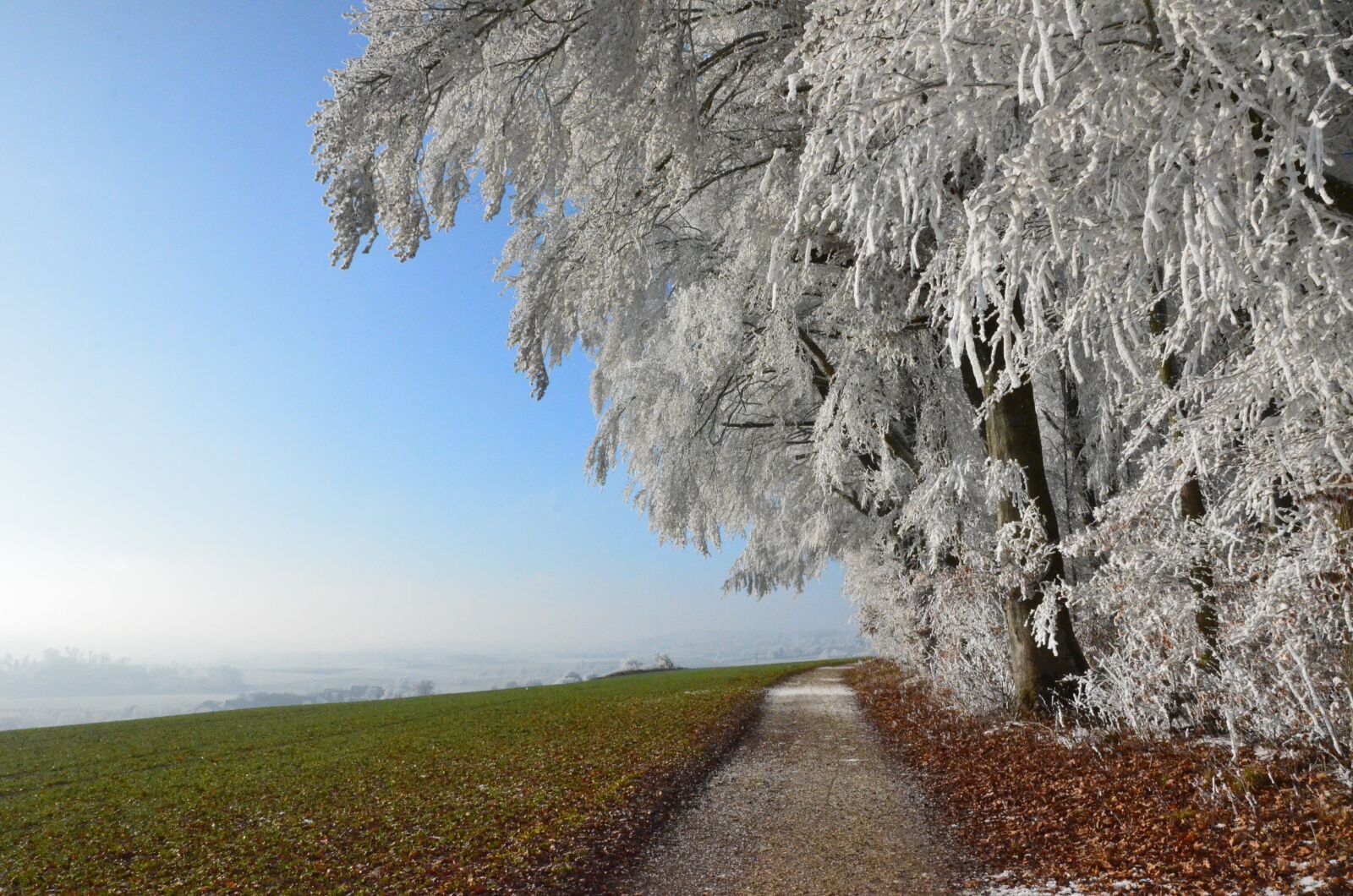 Nikon D7000 sample photo. Snow, winter, landscape photography