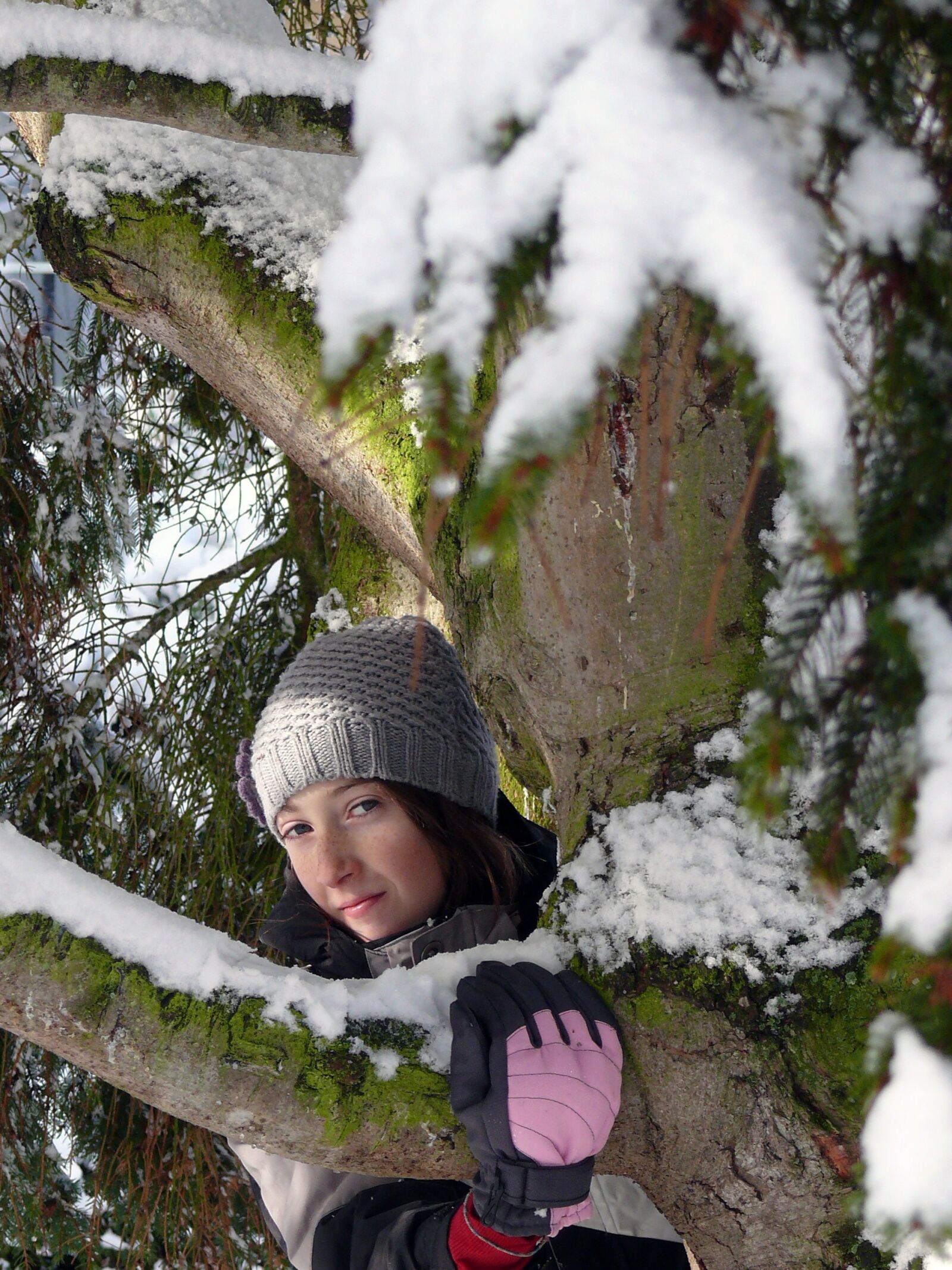 Panasonic DMC-FZ50 sample photo. Winter, snow, nature photography