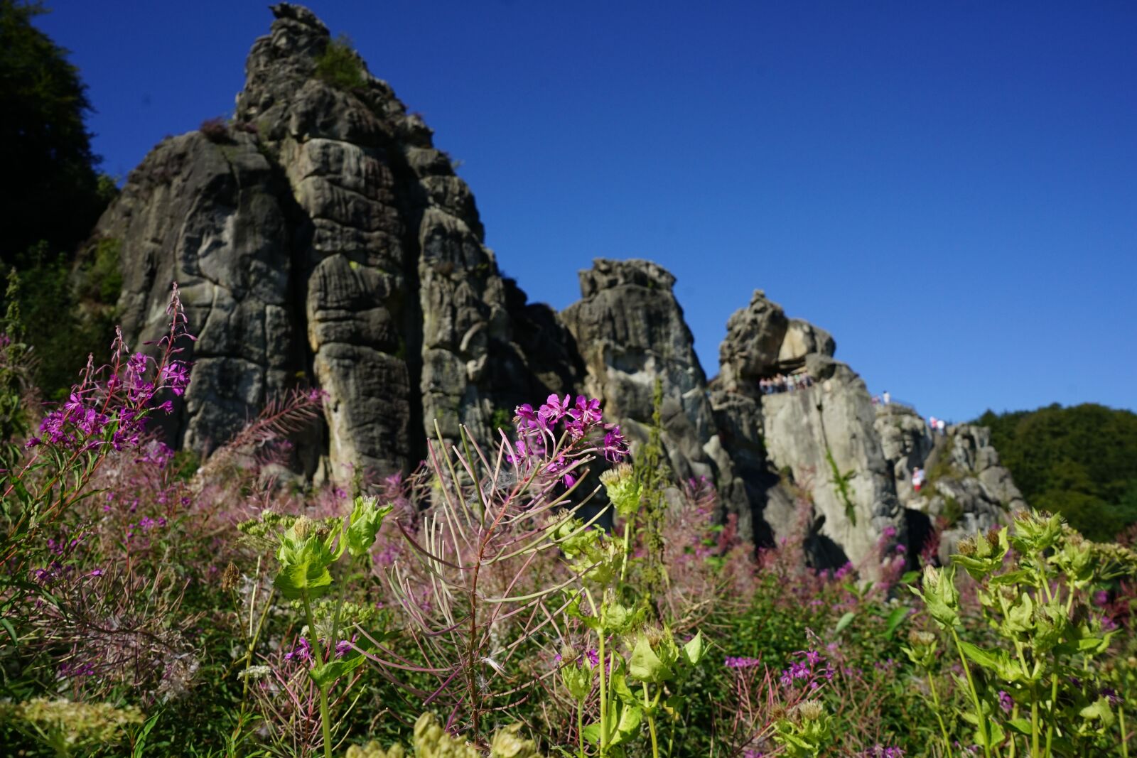 Sony a7 II + Sony FE 28-70mm F3.5-5.6 OSS sample photo. Externsteine, summer, natural monument photography