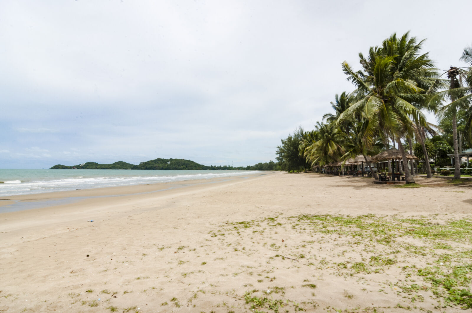 Nikon D70s sample photo. Beach, blue, coconut, trees photography