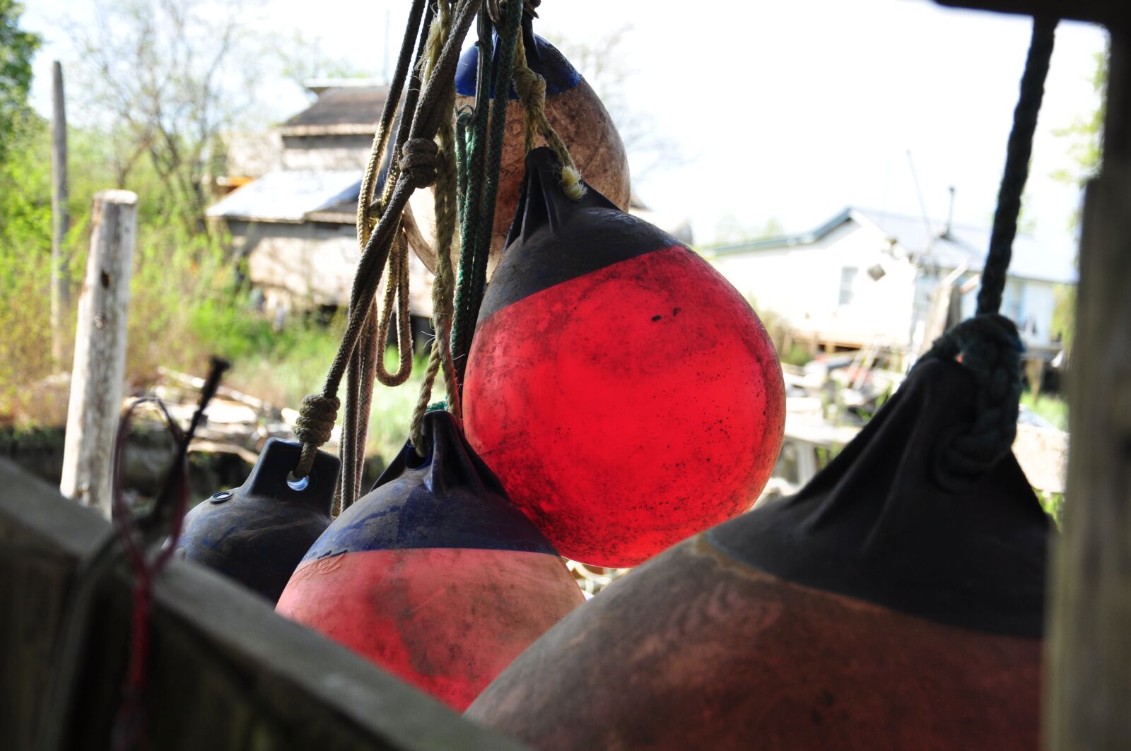 Nikon D90 sample photo. Orange, boja, river photography