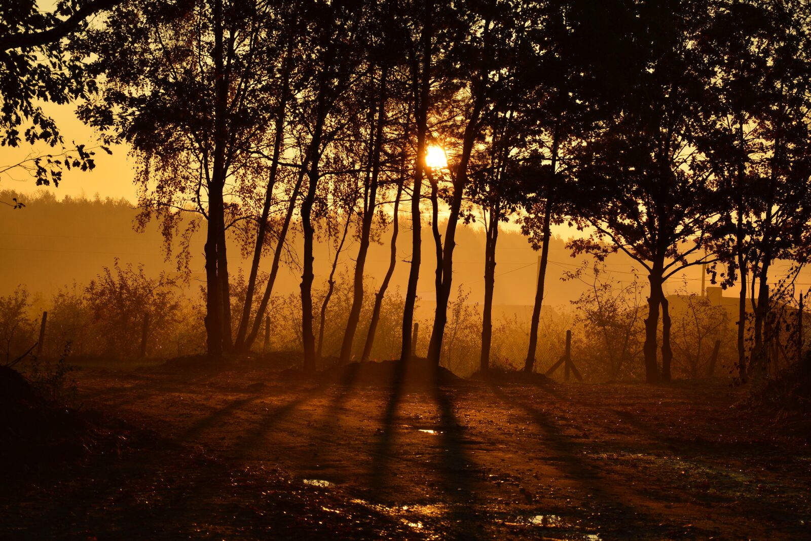 Nikon D3200 sample photo. Landscape, the fog, morning photography