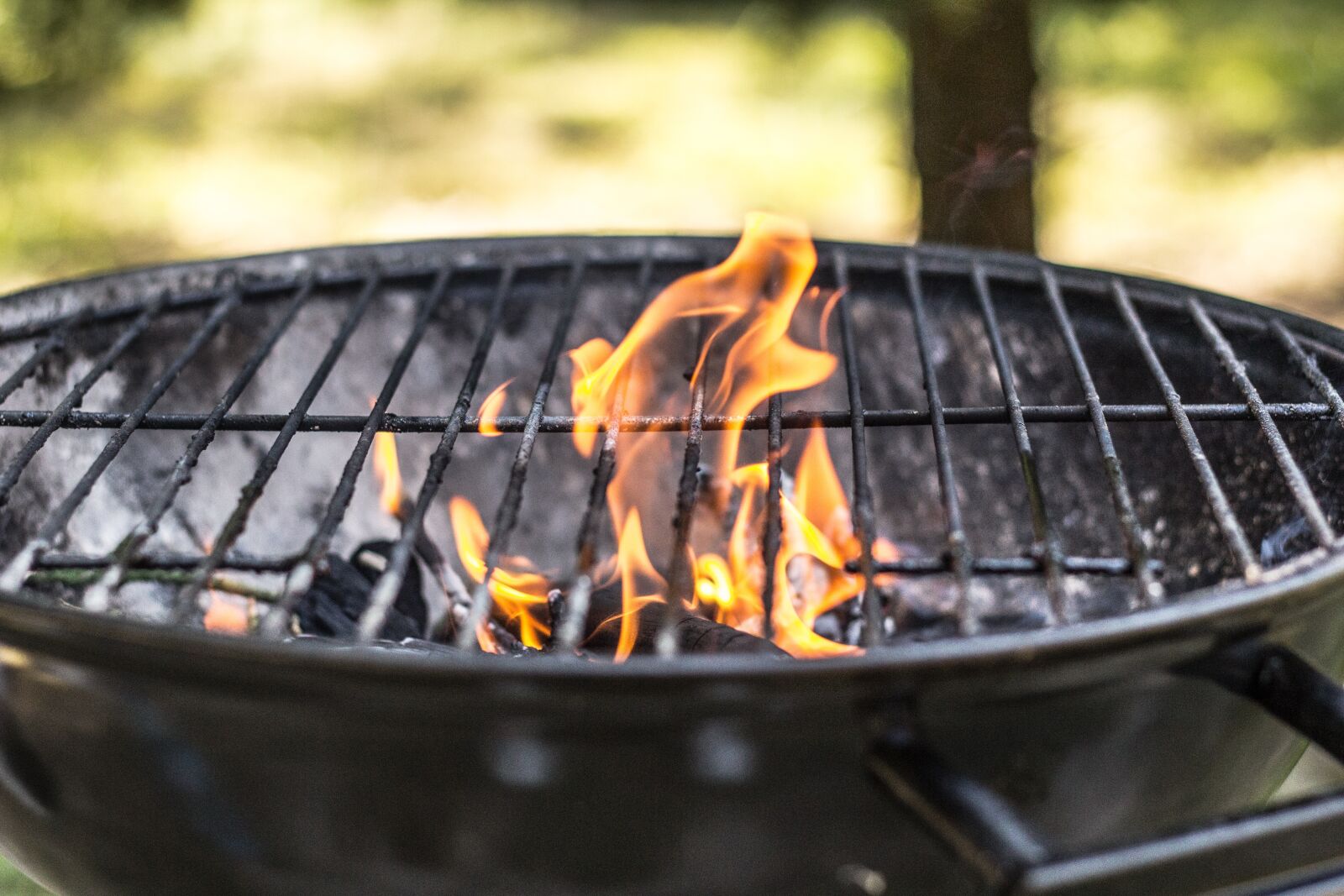 Canon EOS 60D + Canon EF 50mm F1.8 II sample photo. Grill, season on the photography