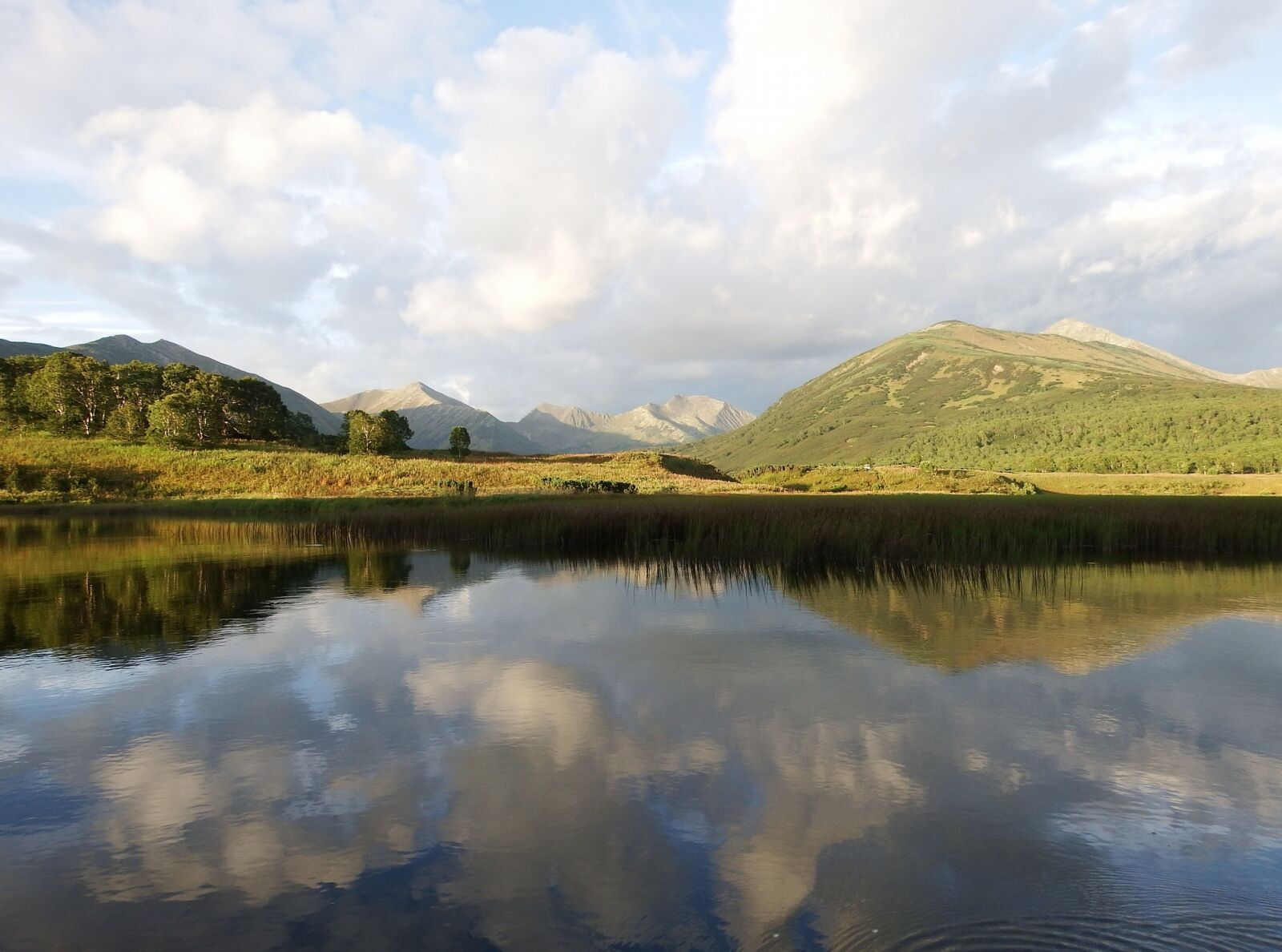 Fujifilm FinePix S1 sample photo. Lake, mountains, forest photography