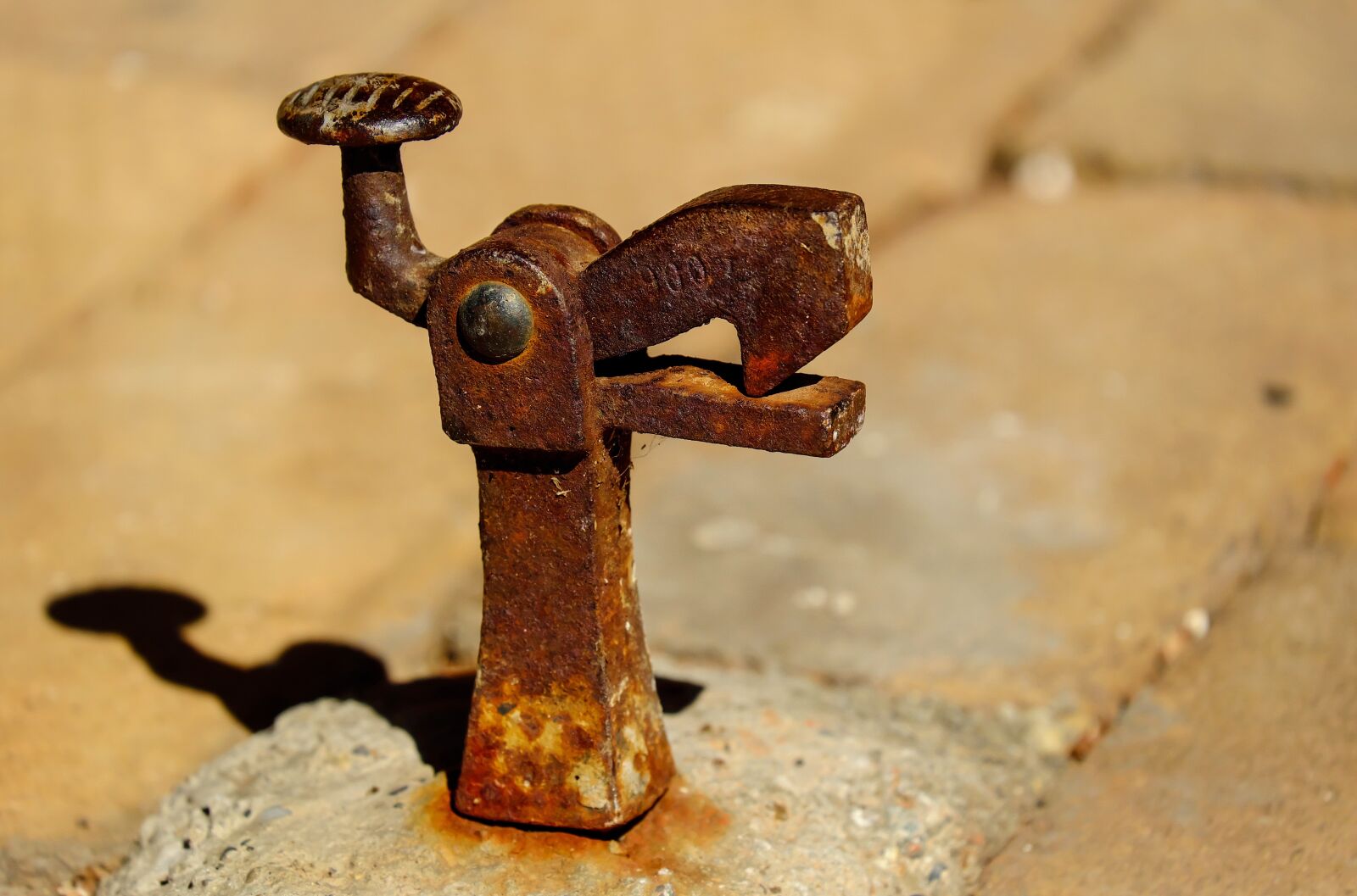 Fujifilm X-T10 + Fujifilm XC 50-230mm F4.5-6.7 OIS sample photo. Doorstop, iron, metal photography