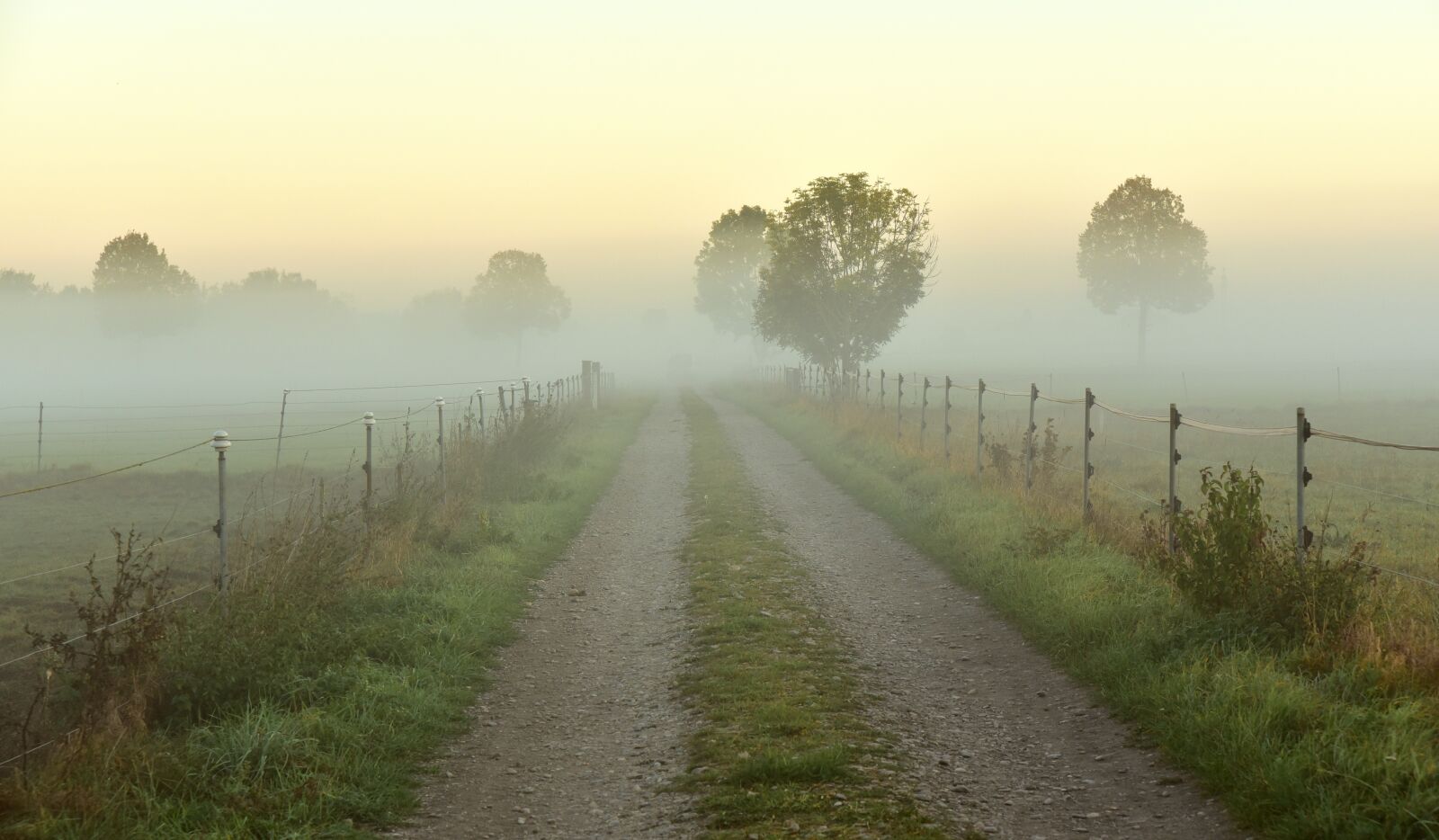 Nikon D750 sample photo. Fog, haze, morning mist photography