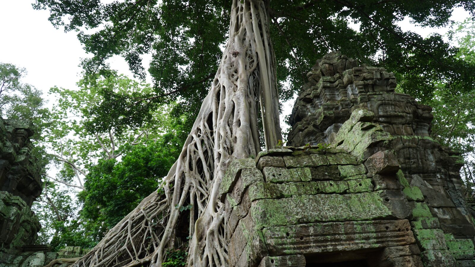 Sony a6300 sample photo. Angkor wat, angkor thom photography