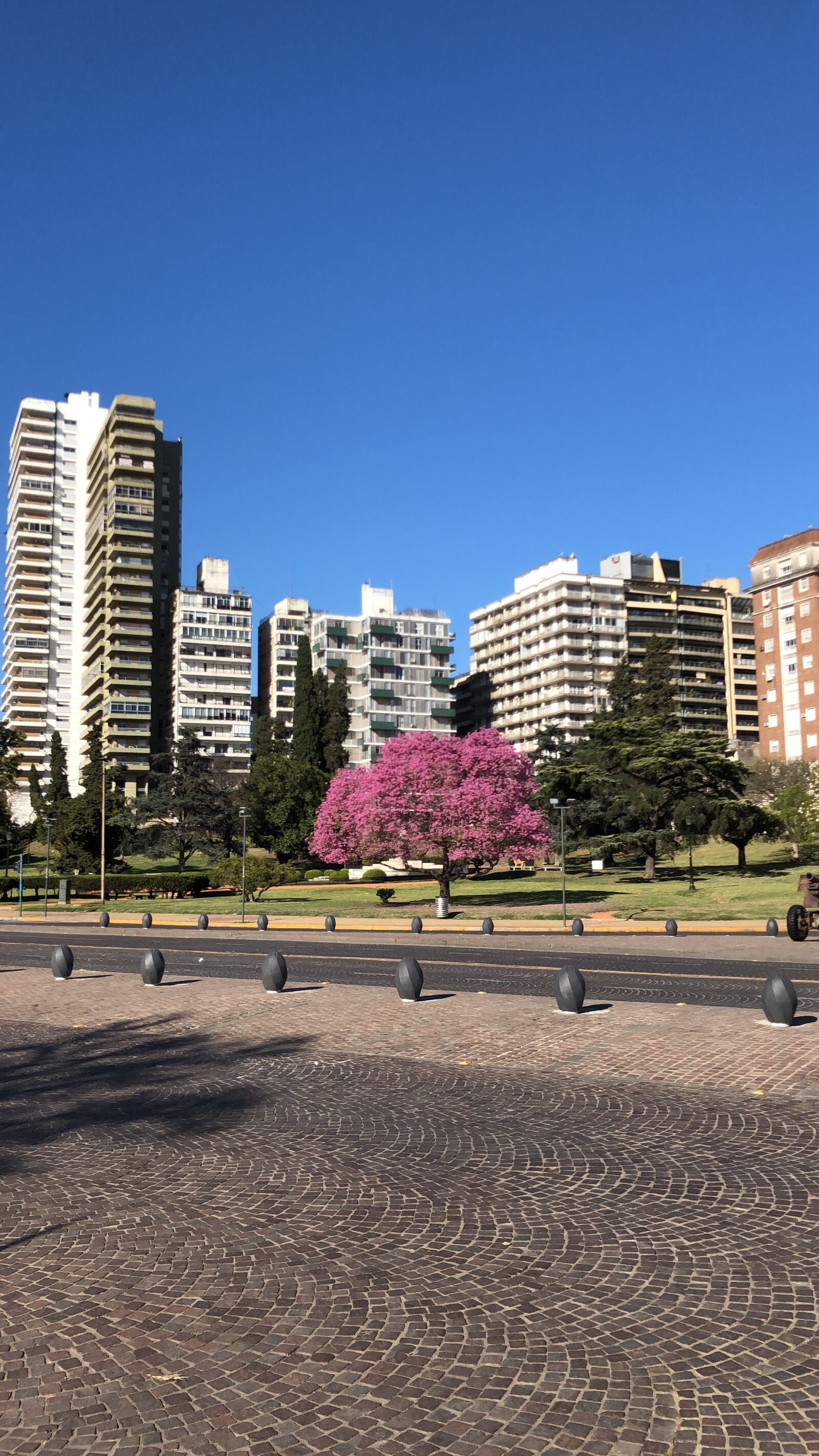 Apple iPhone X + iPhone X back camera 4mm f/1.8 sample photo. Rosario, city, street photography