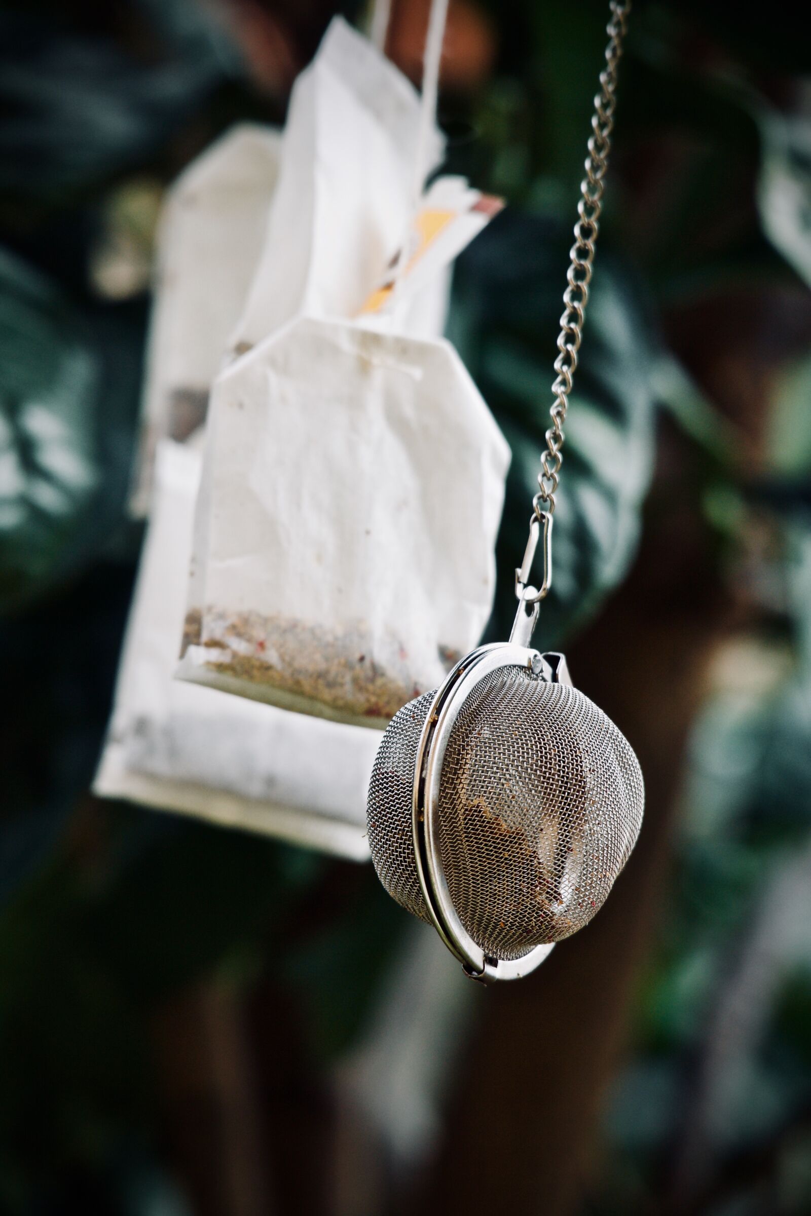 Canon EOS M sample photo. Tea bags, herbal tea photography
