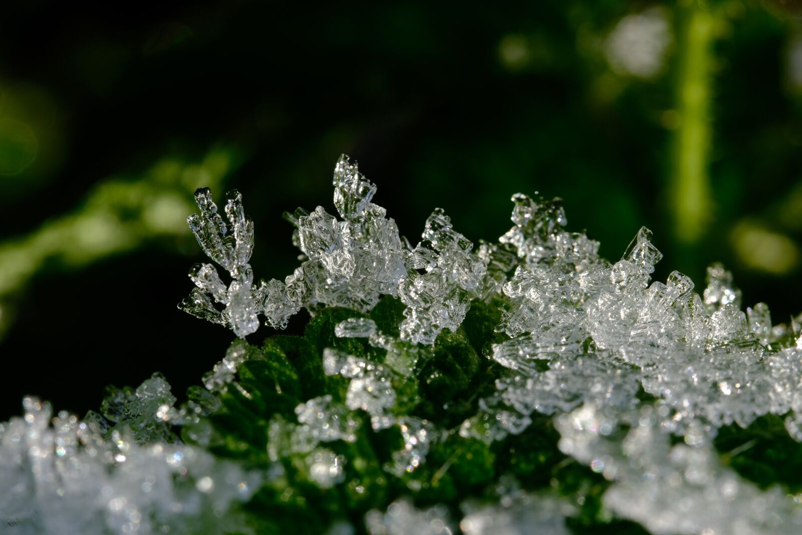 Fujifilm XF 80mm F2.8 R LM OIS WR Macro sample photo. Crystals, eiskristalle, winter photography
