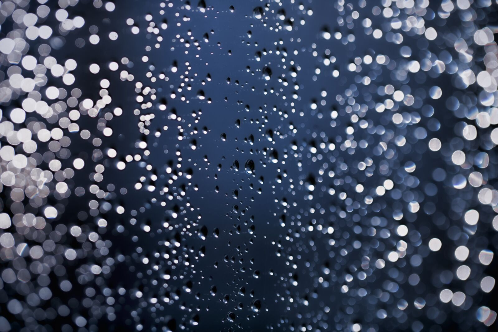 Canon EF 100mm F2.8L Macro IS USM sample photo. Rain, drip, water photography