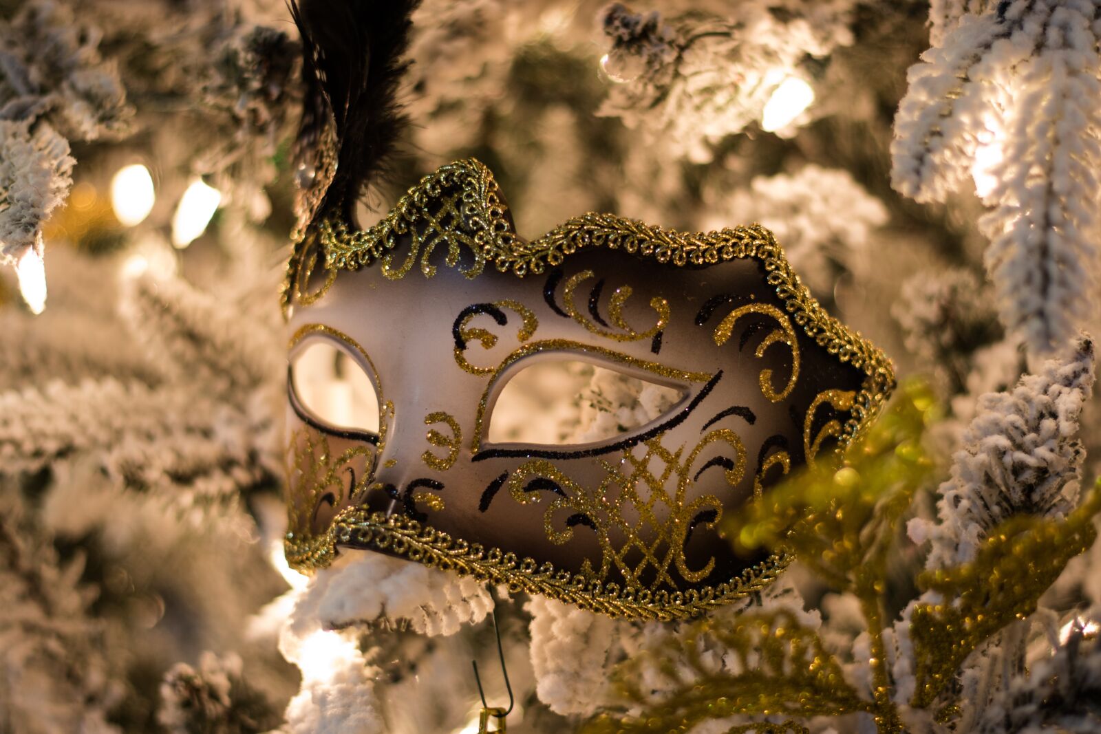 Canon EOS 800D (EOS Rebel T7i / EOS Kiss X9i) sample photo. Mardi gras, mask, costume photography