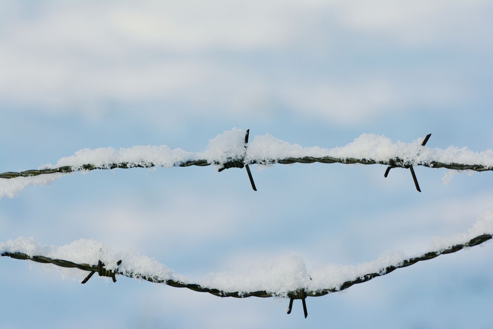 Nikon D5200 sample photo. Snow, barbed wire, snowy photography