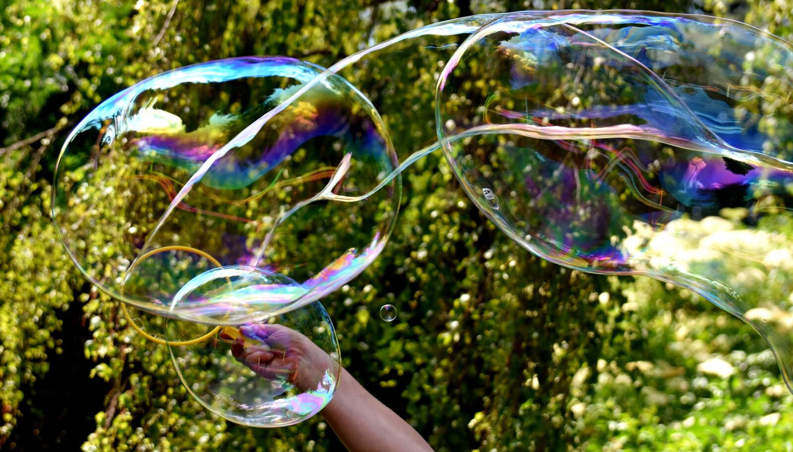 Nikon D7200 sample photo. Soap bubble, huge, large photography