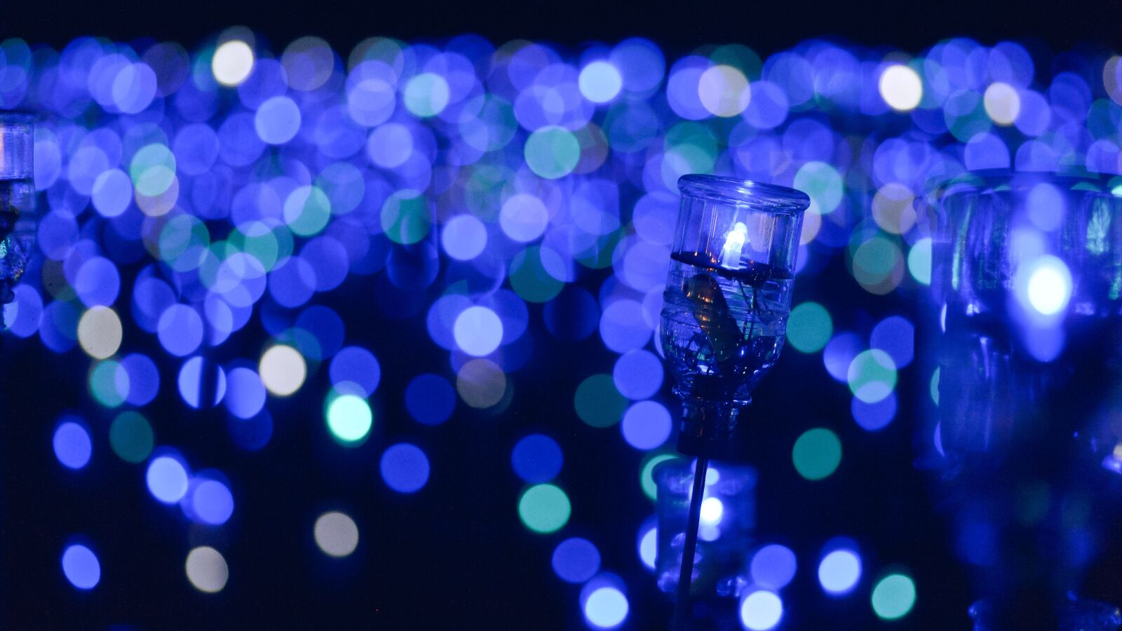 Nikon Df sample photo. Light, night, the bokeh photography
