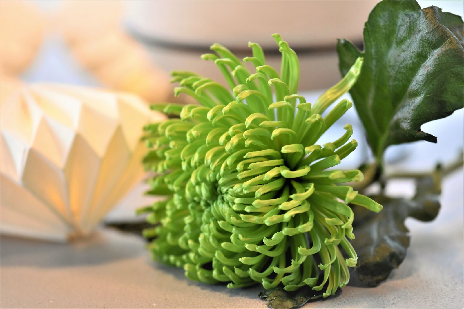 Nikon D5500 sample photo. Decoration, deco, table decorations photography