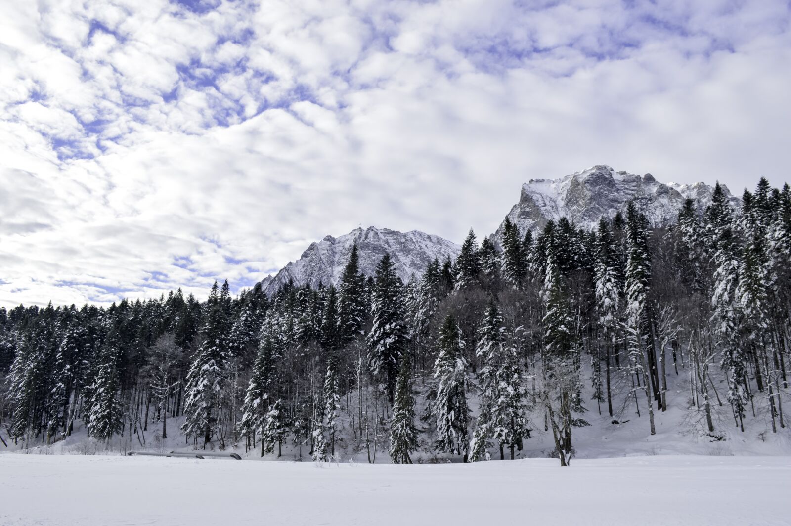 Nikon D3200 sample photo. Cold, december, forest photography