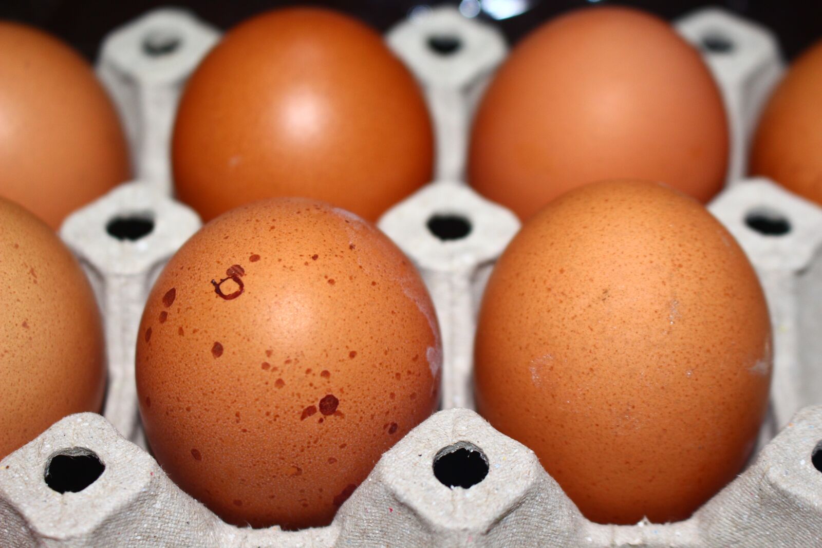 Canon EOS 700D (EOS Rebel T5i / EOS Kiss X7i) sample photo. Egg, eggs, food photography