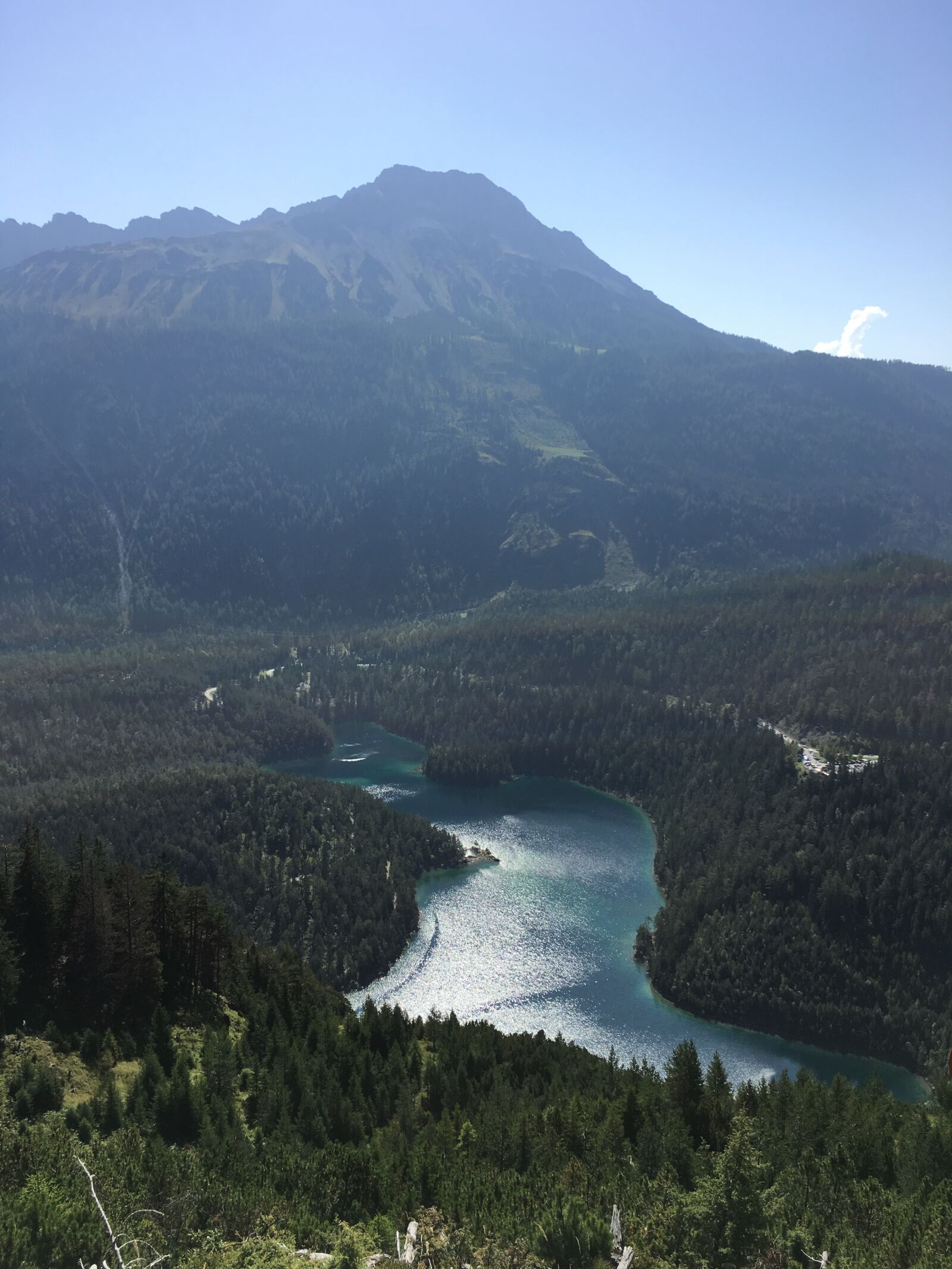 Apple iPhone 6s sample photo. Alps, nature, forest photography