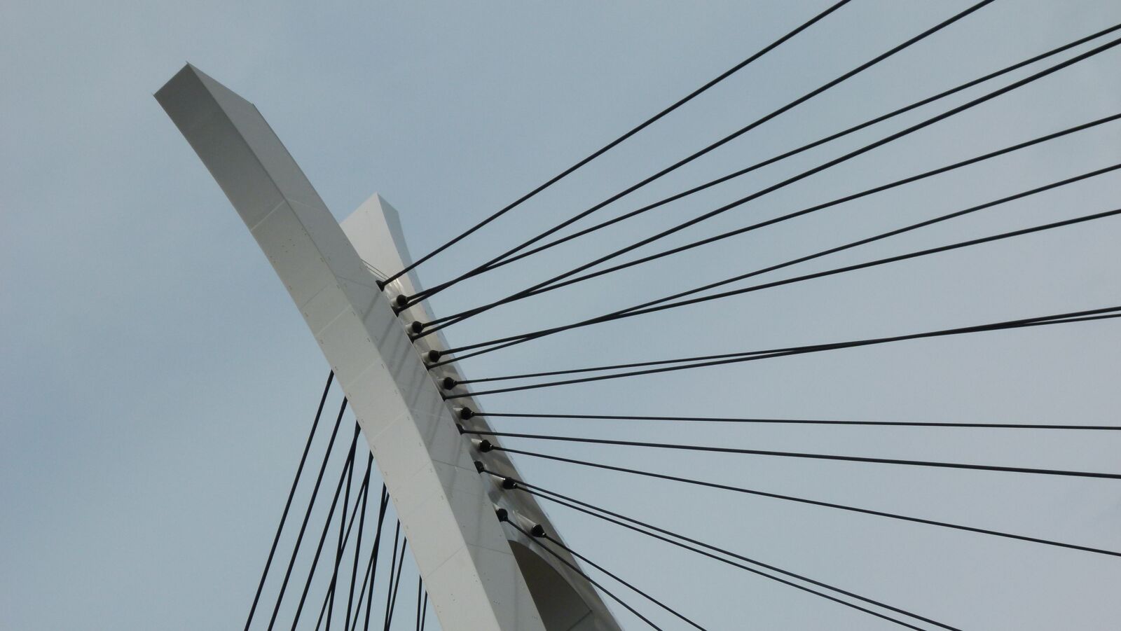 Panasonic Lumix DMC-FZ100 sample photo. Bridge, tokyo, japan photography