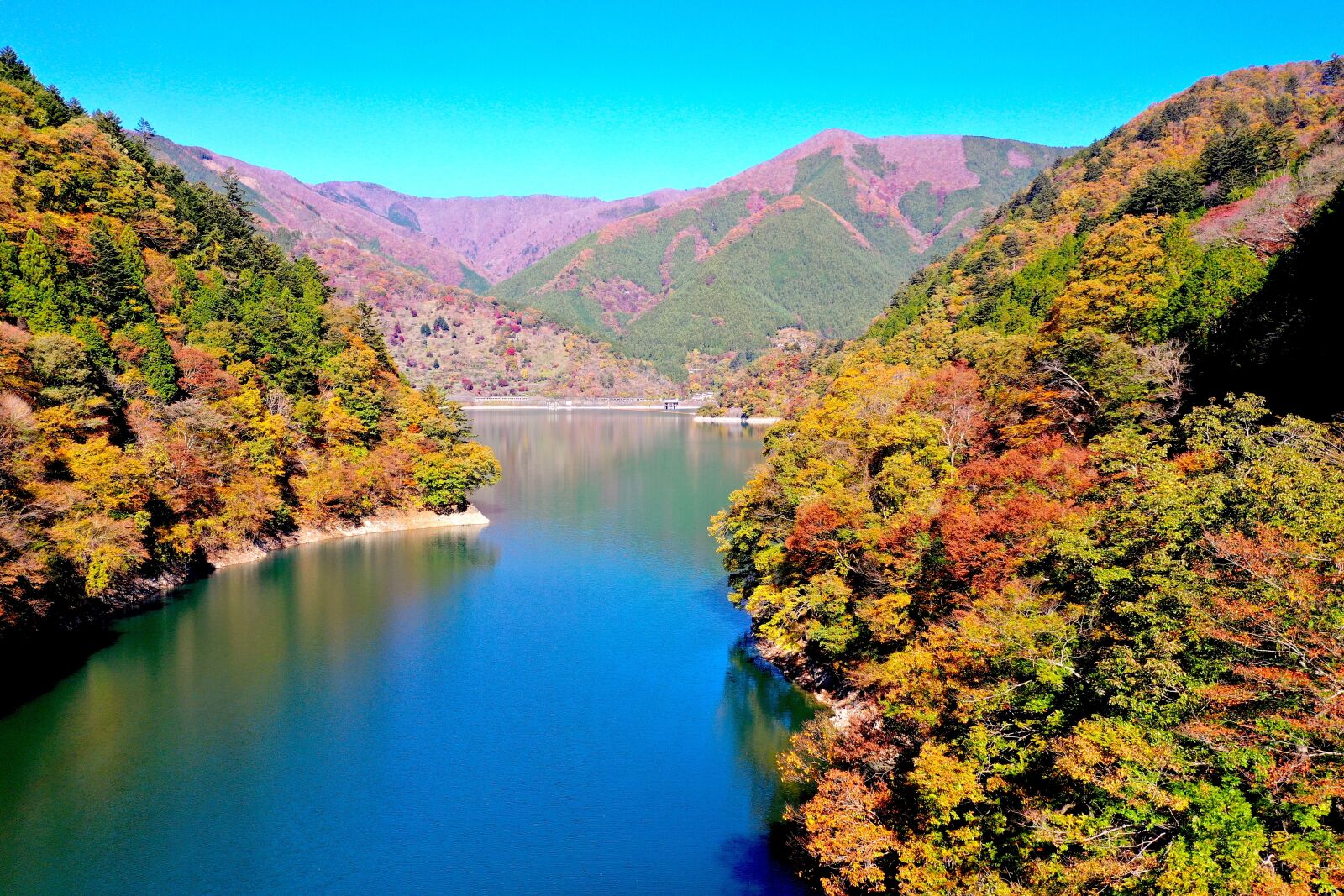 Hasselblad L1D-20c sample photo. Drone, autumn, beautiful photography