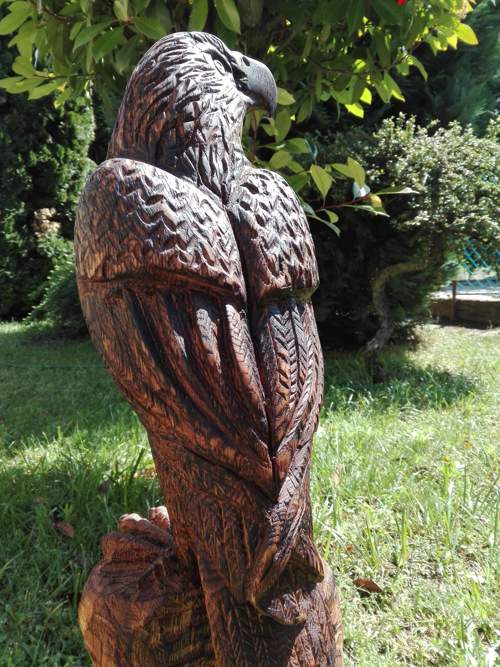 HUAWEI P8 Lite sample photo. Oak eagle, carved, from photography