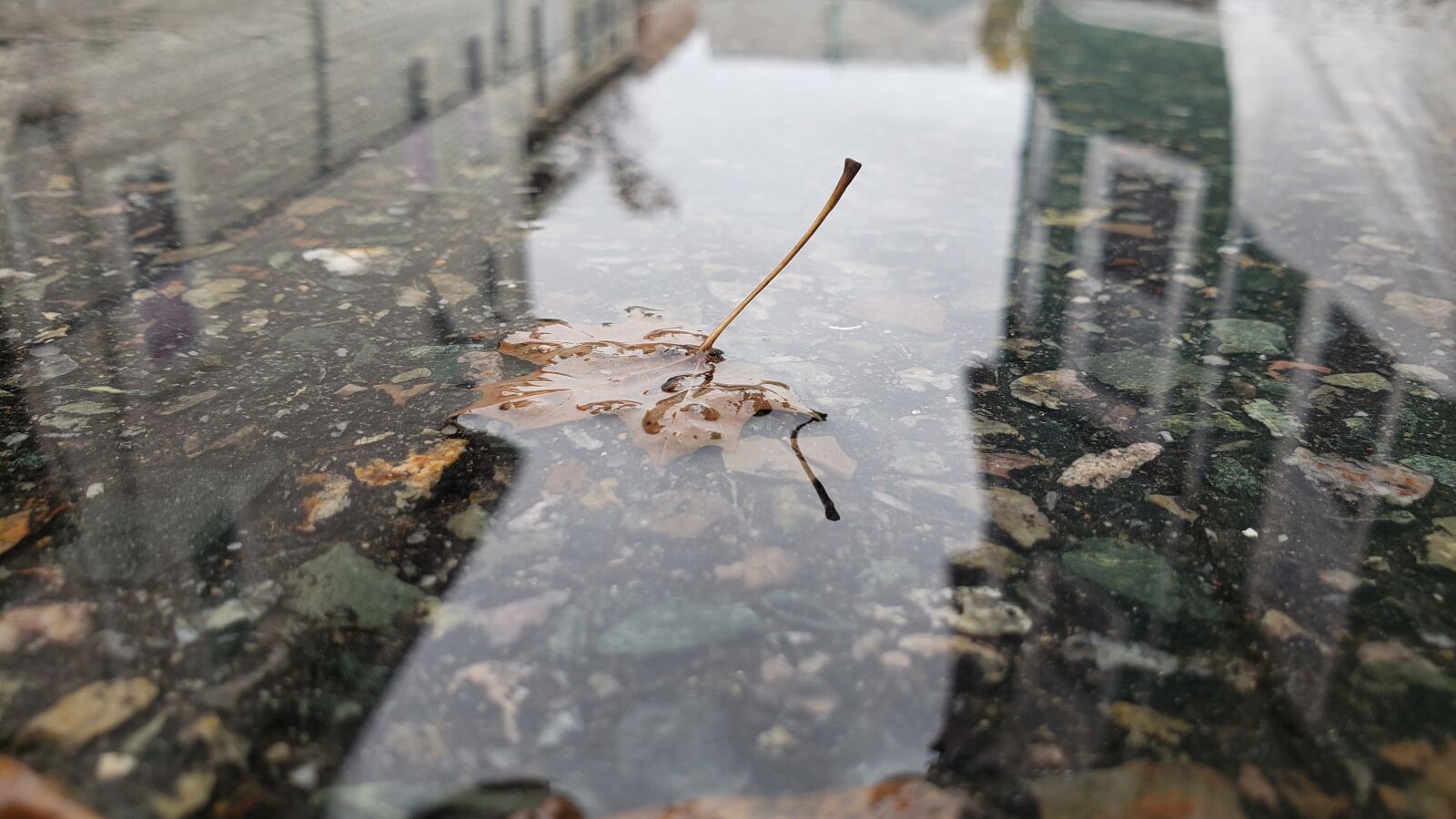 Samsung Galaxy S9 sample photo. Sheet, water, reflection photography