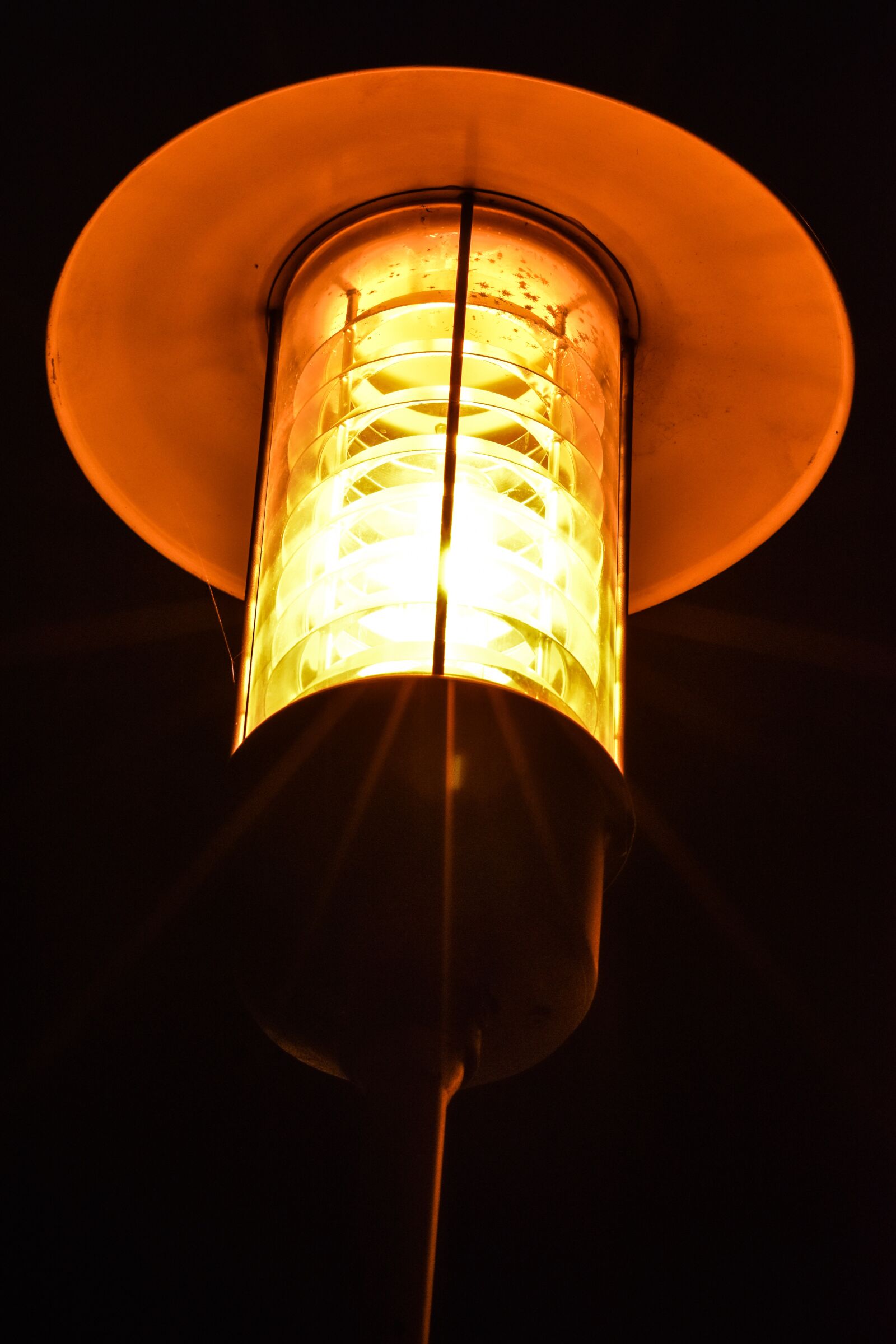 Nikon D5500 sample photo. Luminary, lamp, electric light photography