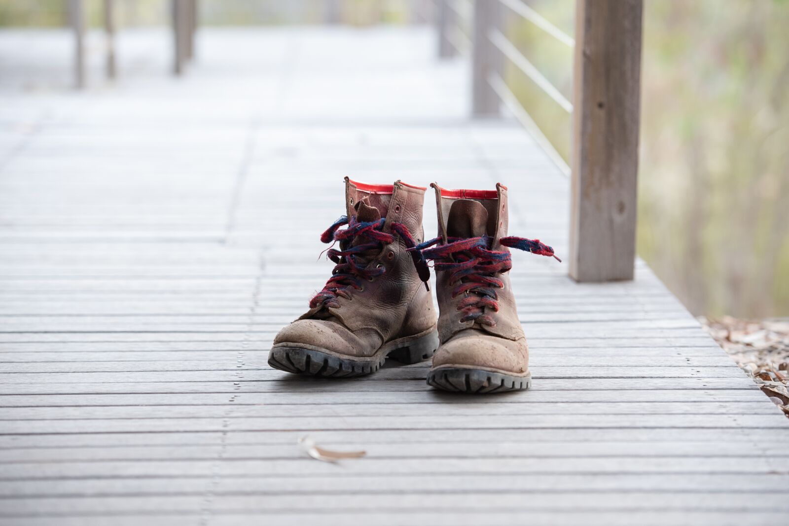 Nikon D750 sample photo. Work boot, boots, shoes photography