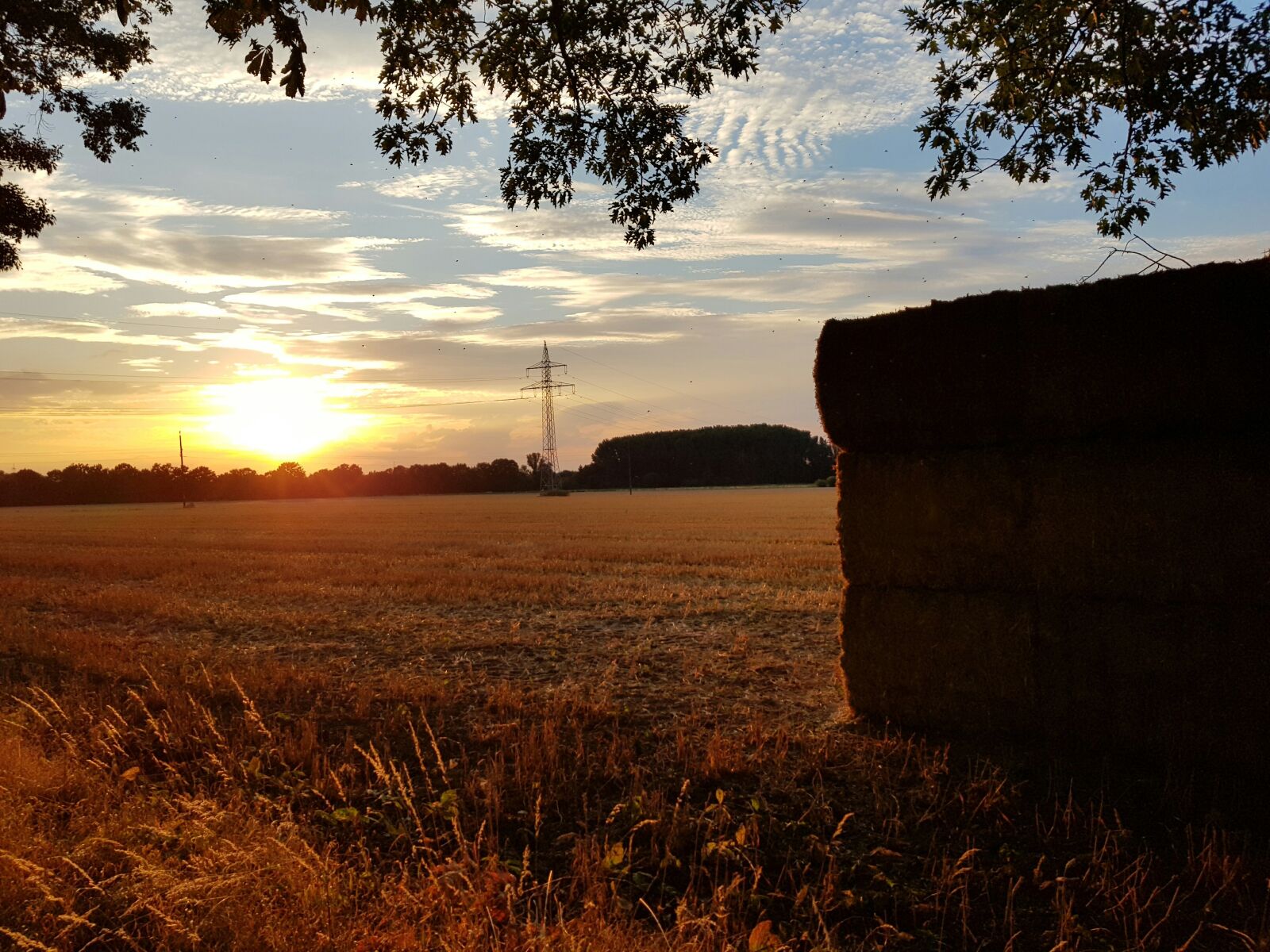 Samsung Galaxy S8 sample photo. Sun, nature, field photography