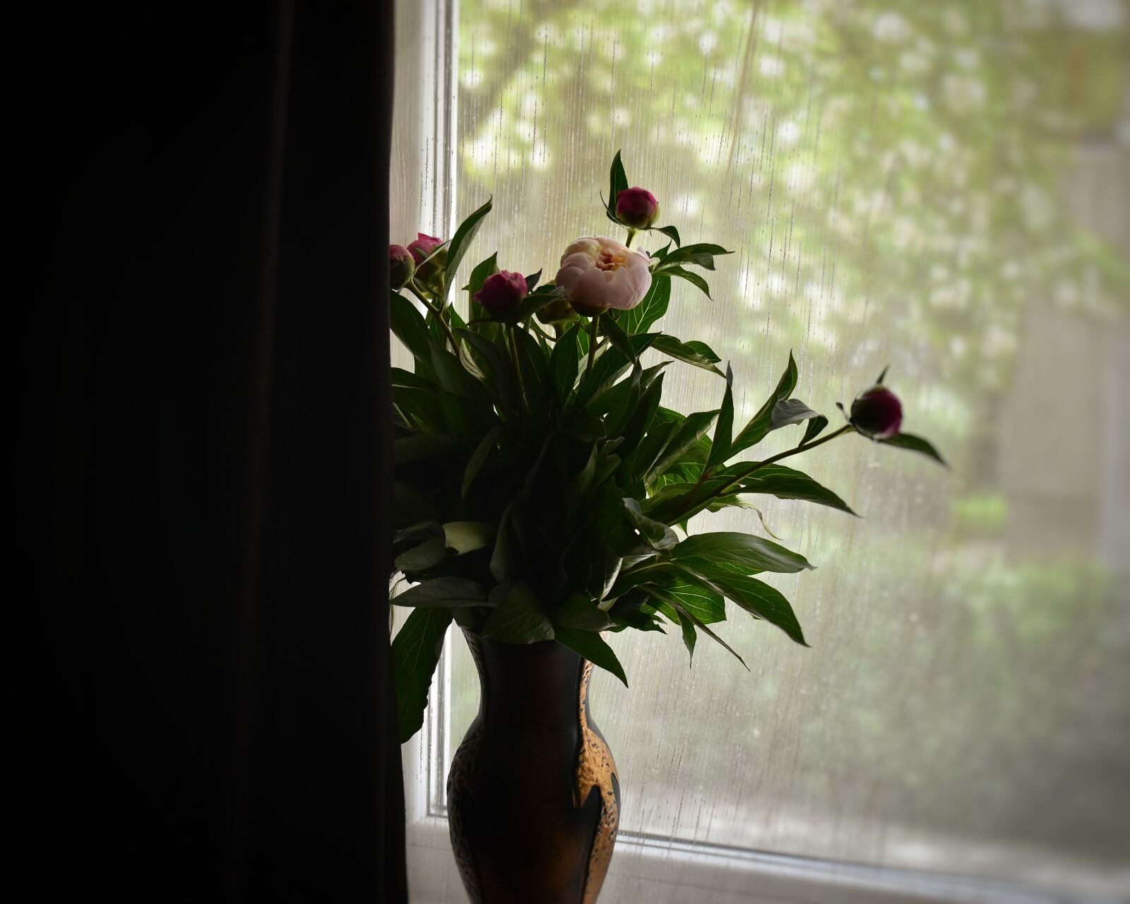 Nikon D3500 sample photo. Bujorul rom nesc, floarena photography