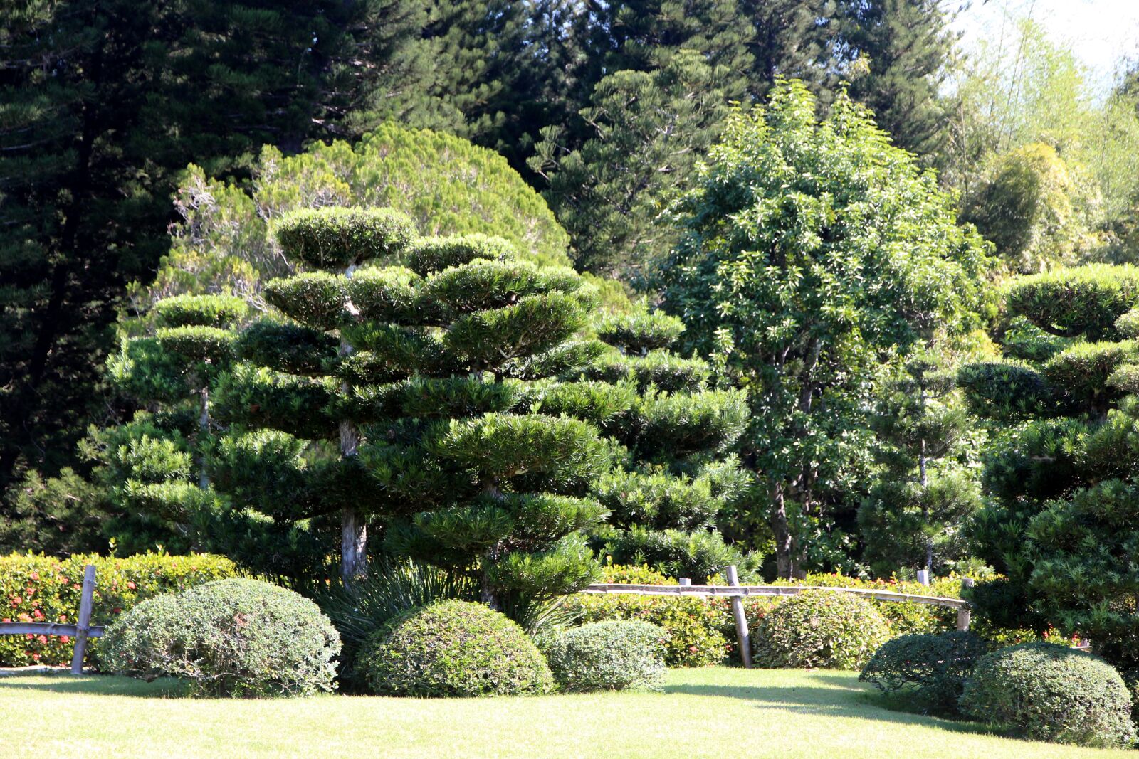 Canon EOS 650D (EOS Rebel T4i / EOS Kiss X6i) sample photo. Park, design, landscape photography
