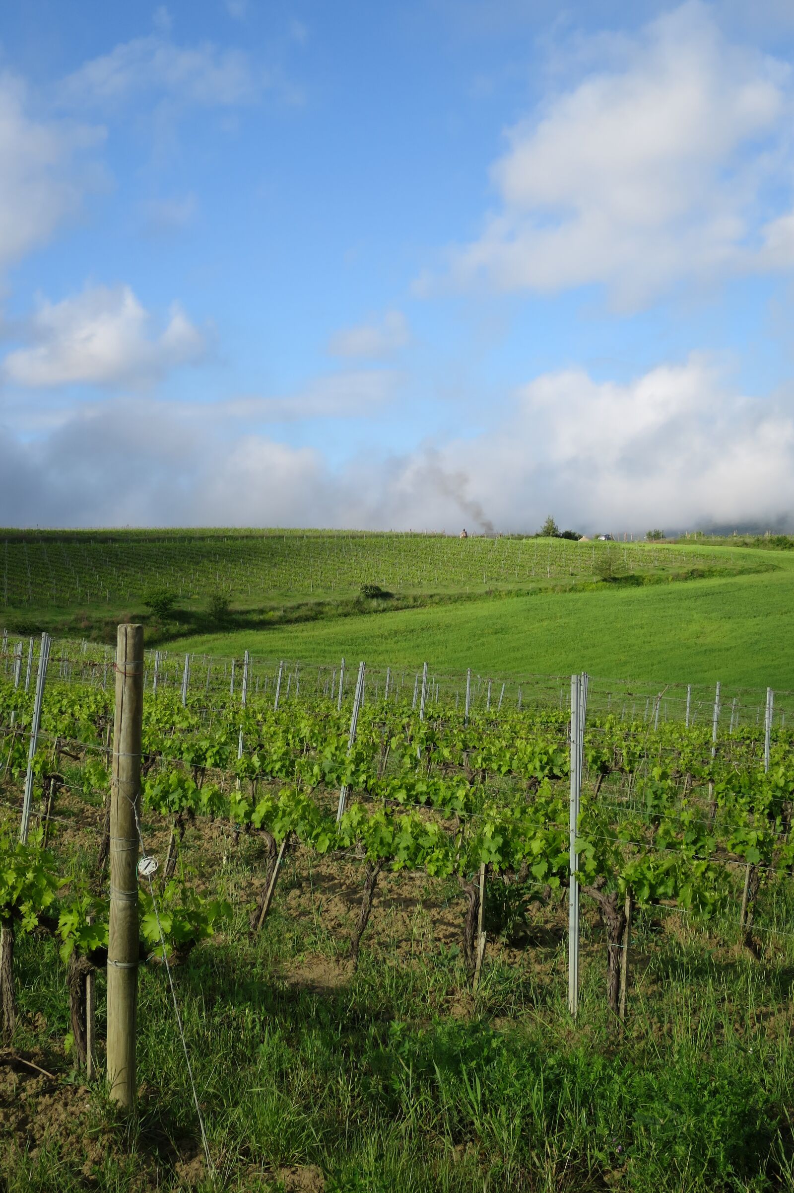 Canon PowerShot S120 sample photo. Tuscany, winery, italy photography