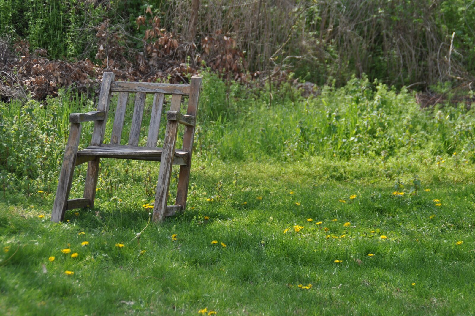 Nikon D5000 sample photo. Relaxation, simplicity, minimal photography