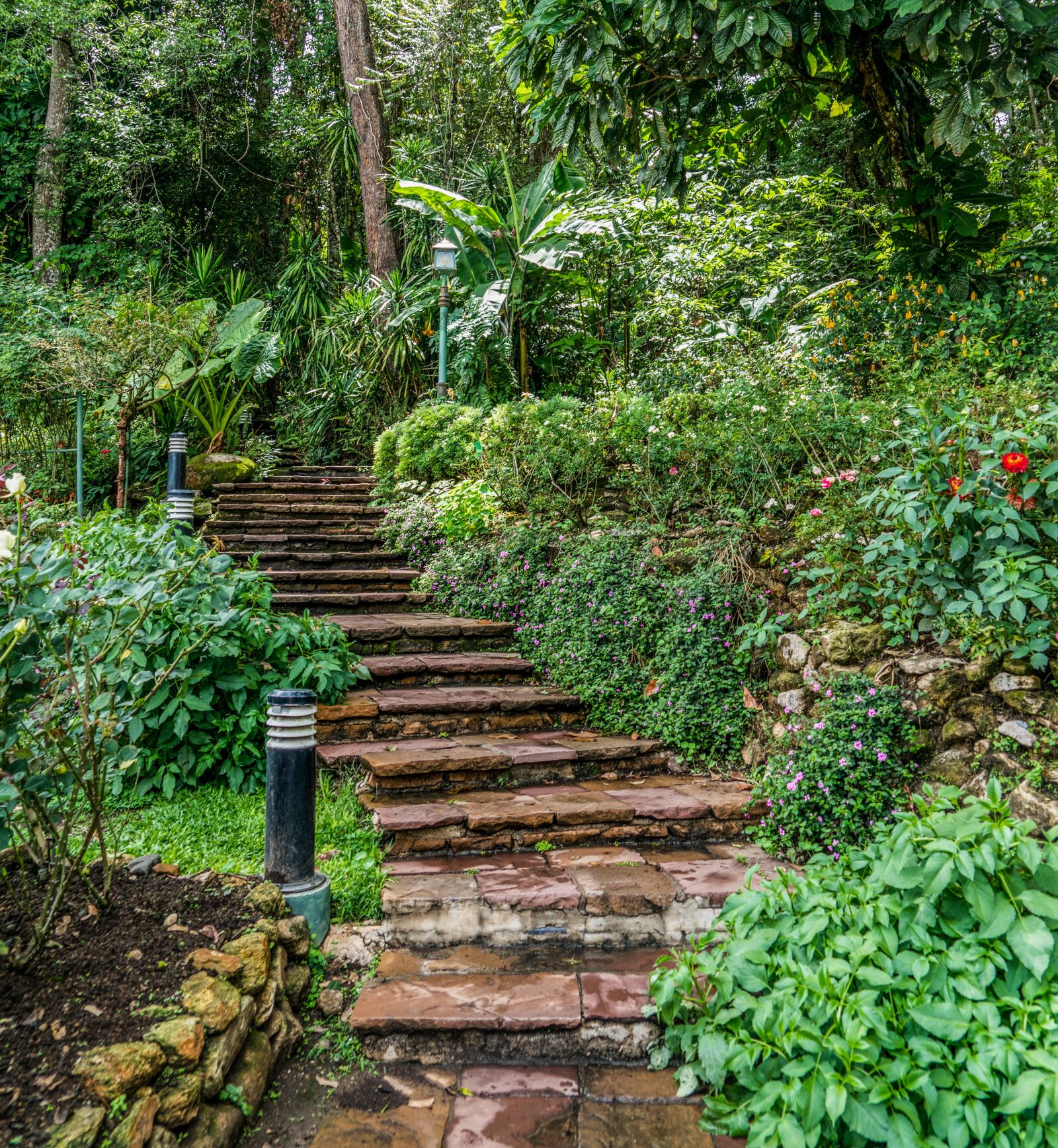 Sony a7R II + Sony FE 24-240mm F3.5-6.3 OSS sample photo. Stone steps, beautiful landscape photography